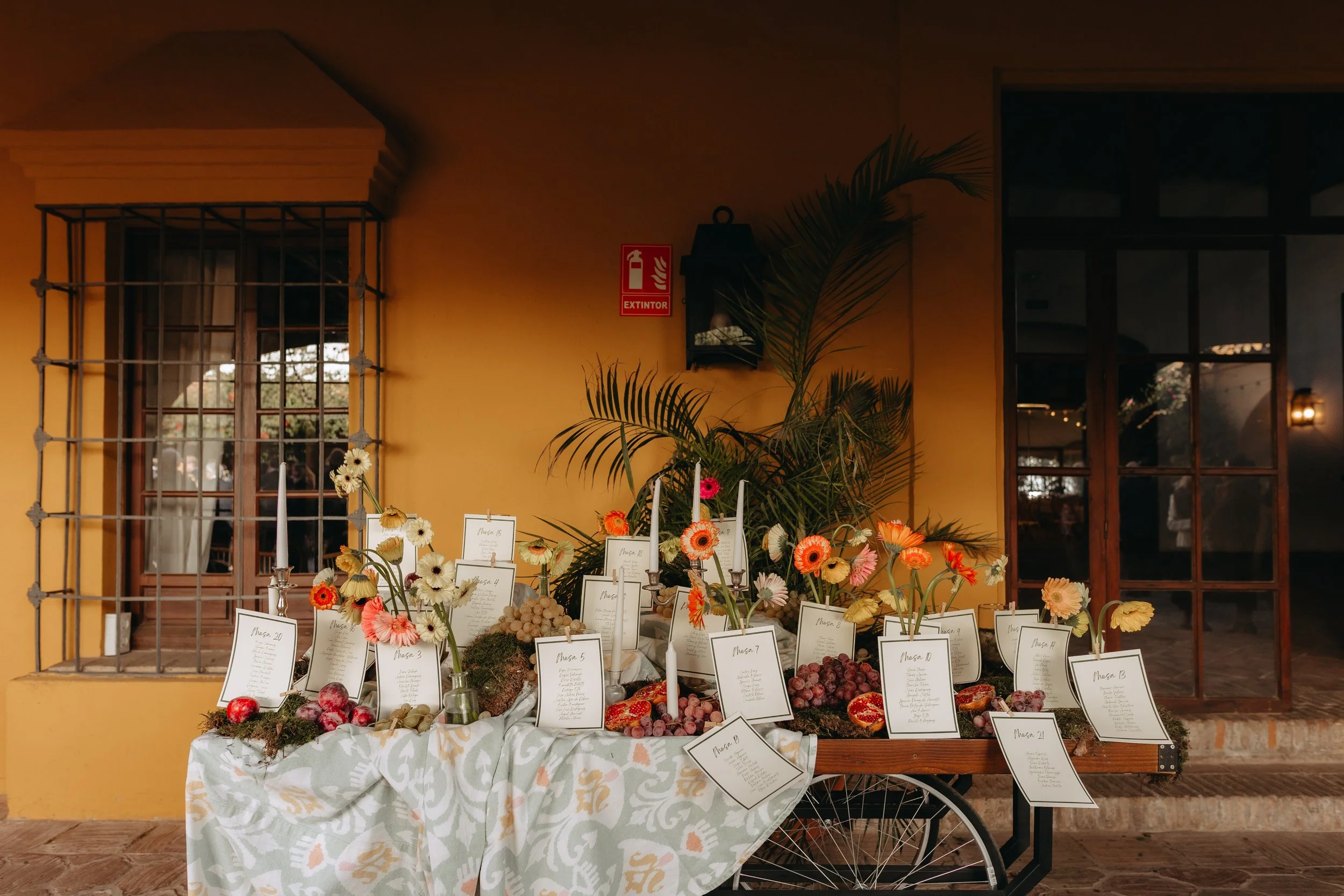 NAVARRETE FOTOGRAFIA-91.jpg