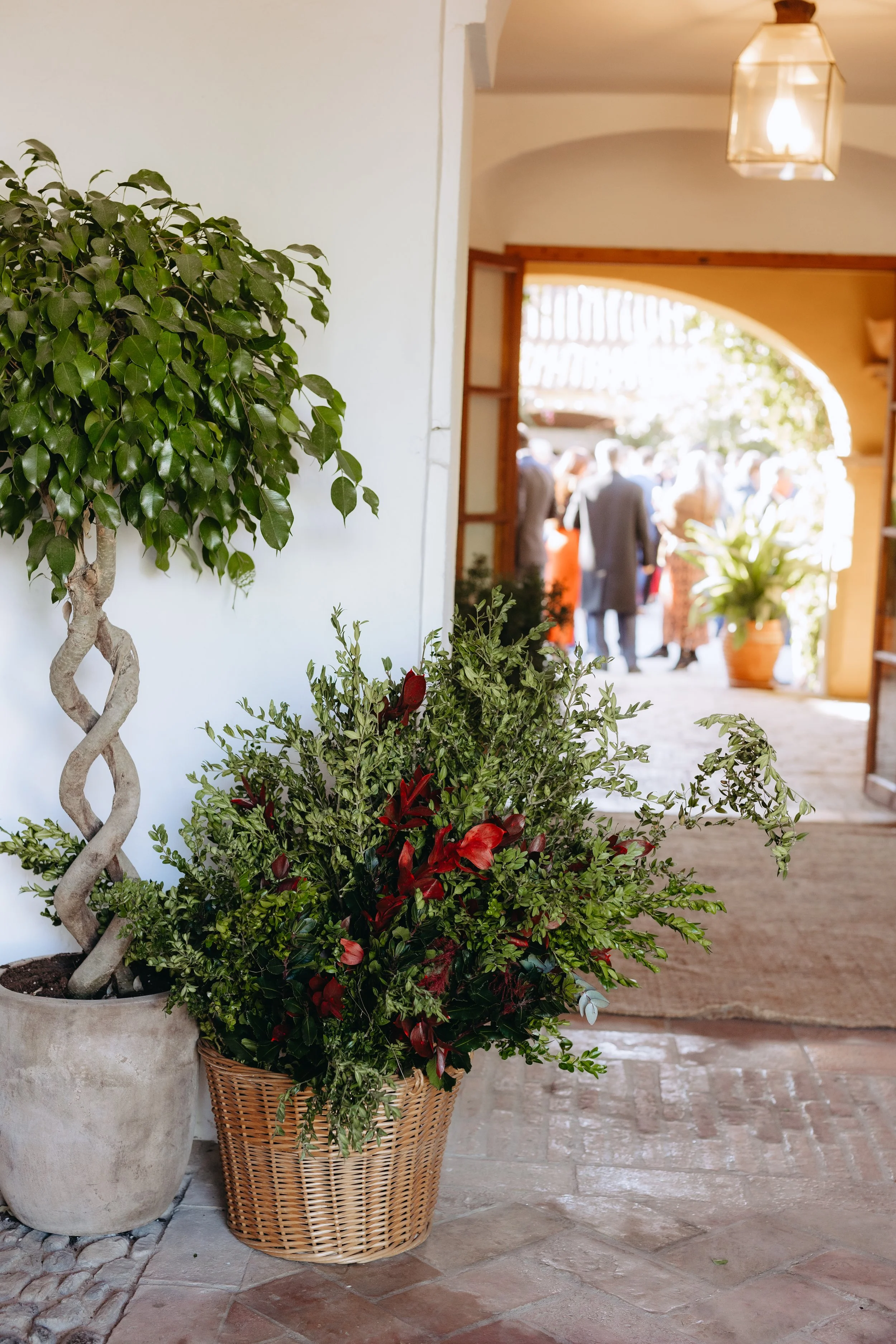 NAVARRETE FOTOGRAFIA-102.jpg