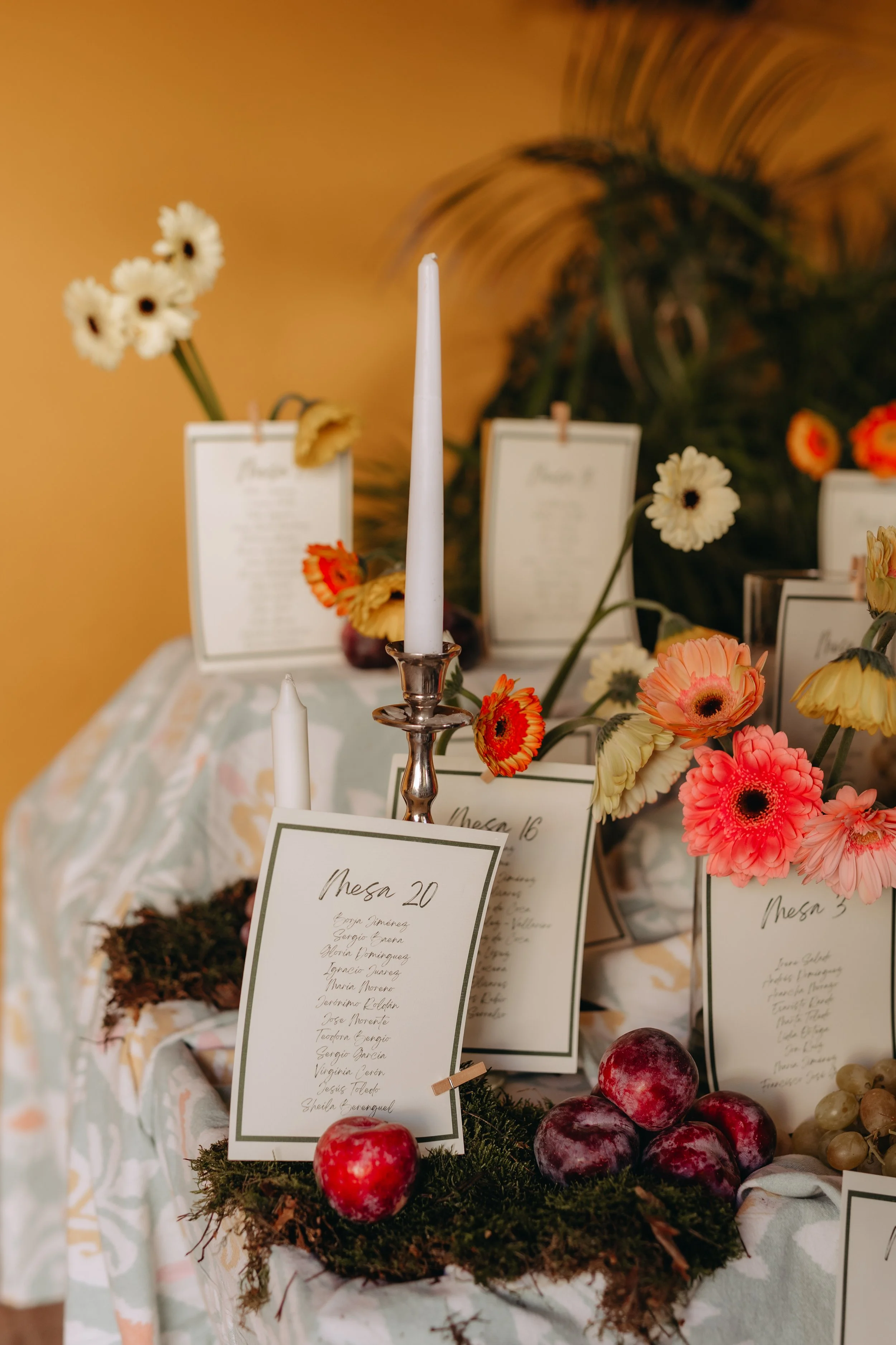 NAVARRETE FOTOGRAFIA-59.jpg