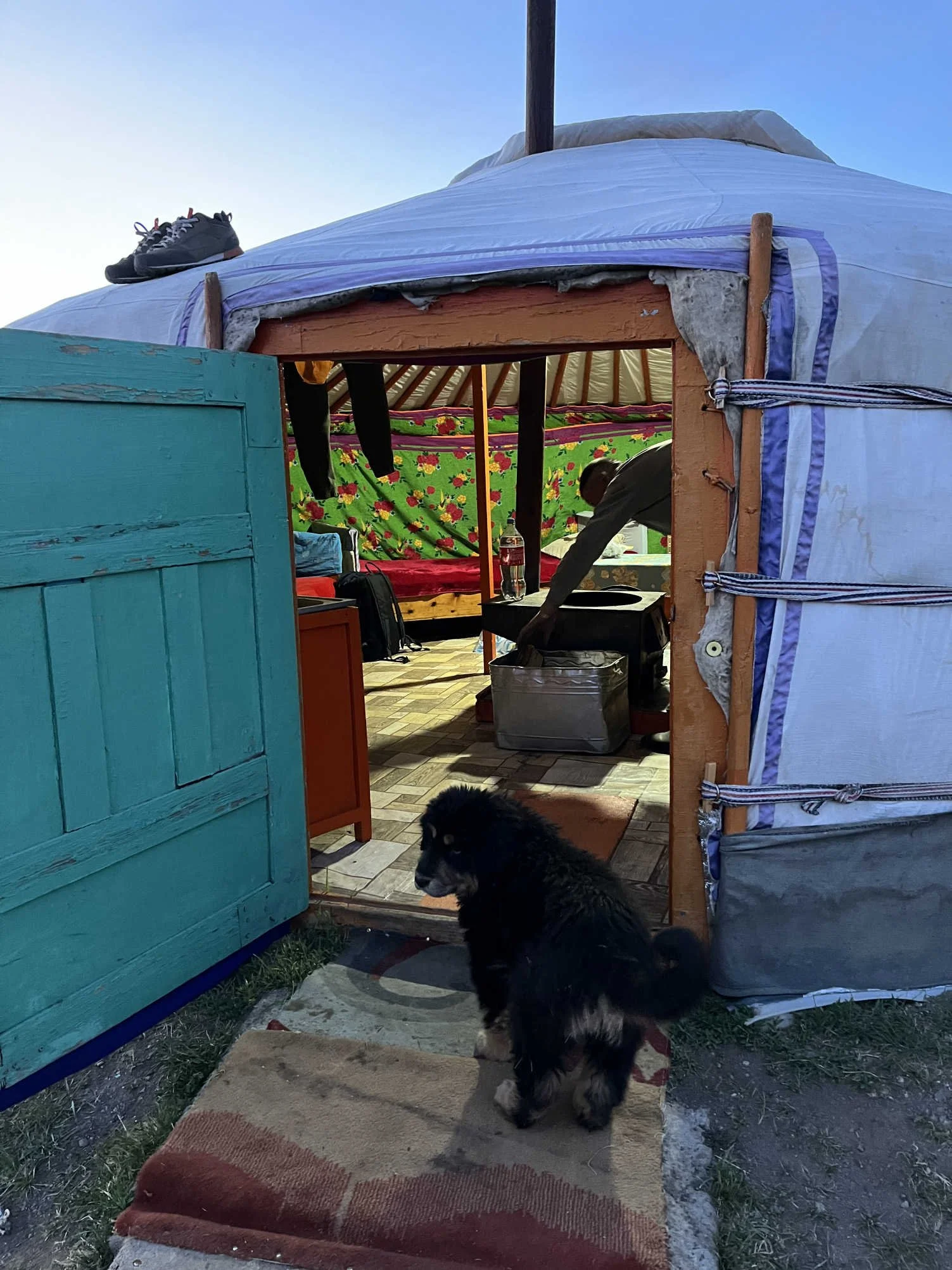 mongolia-nomad-dog-yurt-asia-nature-mountains-travel-tour.jpg