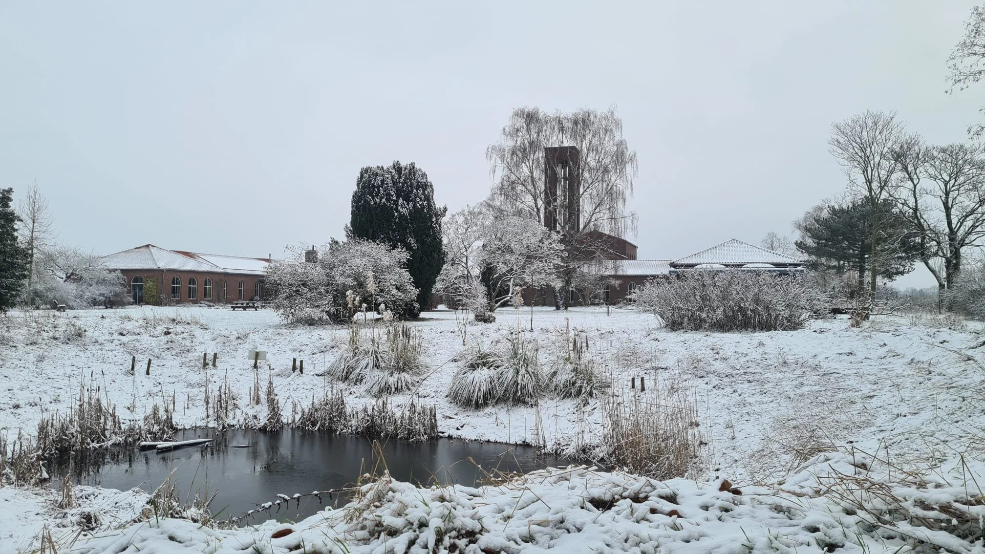 Stilte als fundament voor authentiek leiderschap