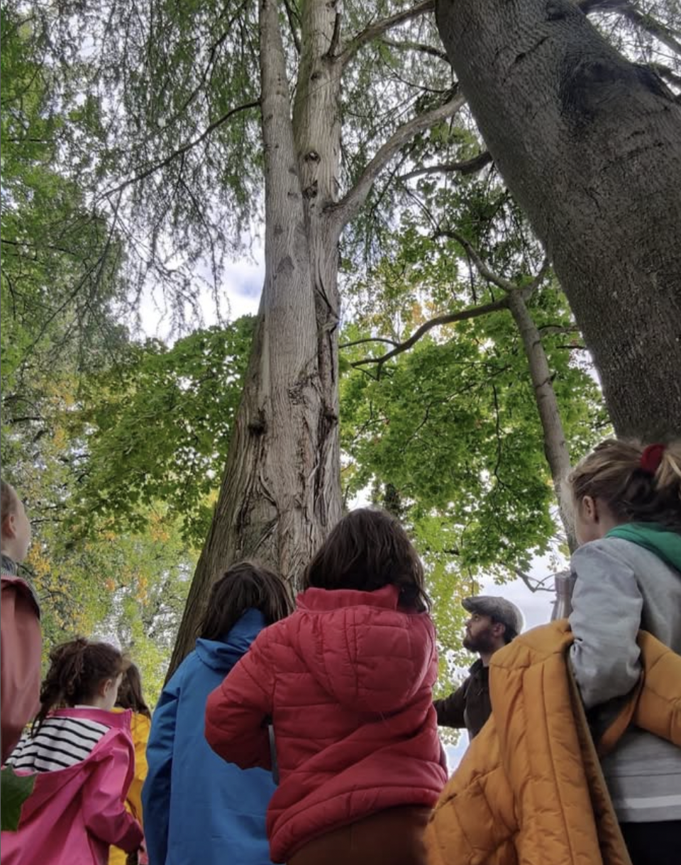 Capture d’écran 2025-02-19 à 09.20.16.png