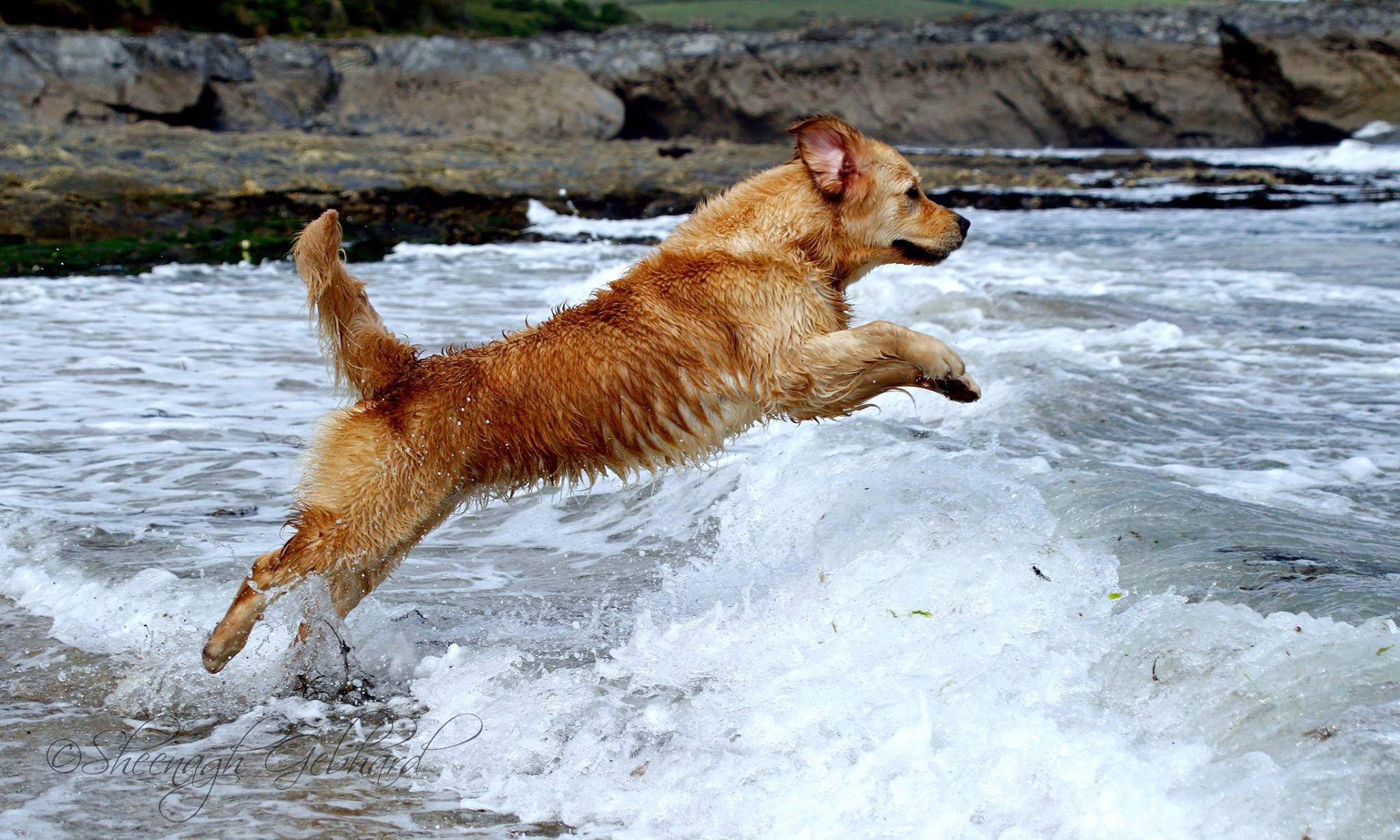 Take Off.jpg
