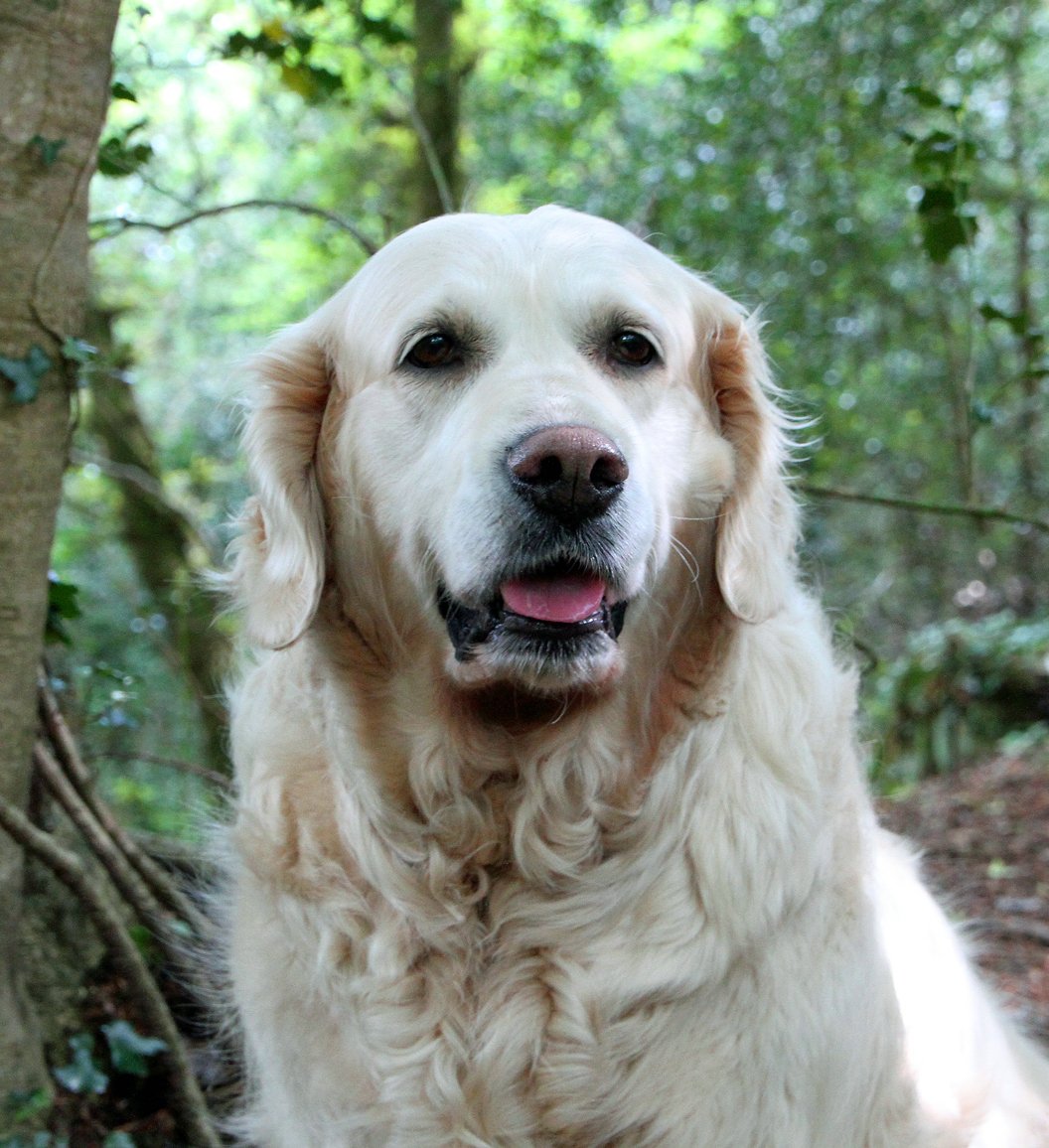 Shiloh-Profile-pic.jpg