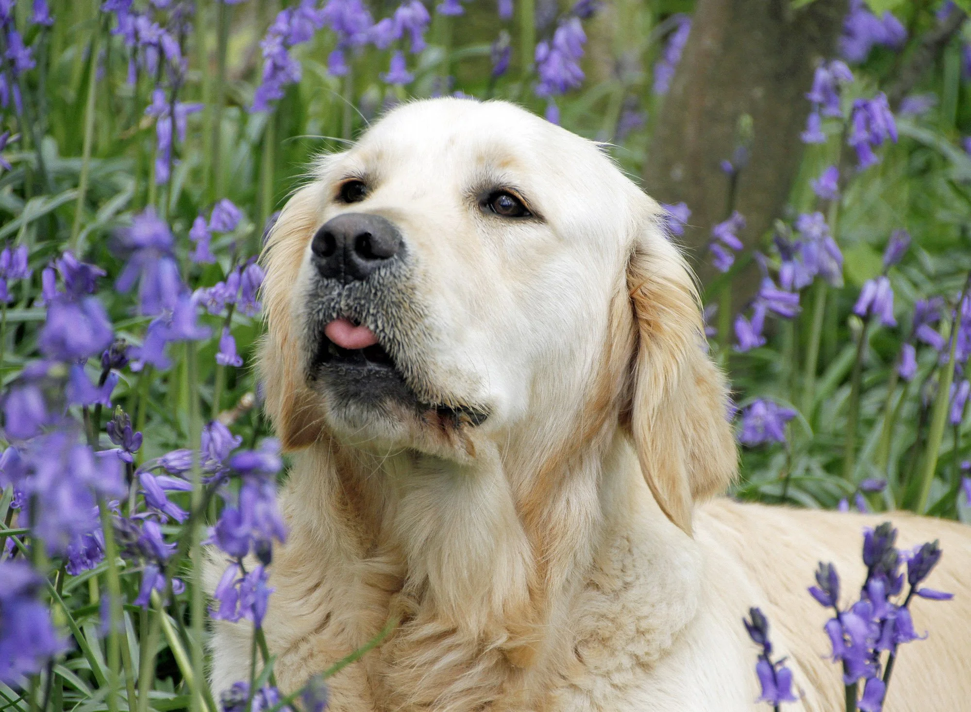 WEB_MG_9725 copy 2.jpg