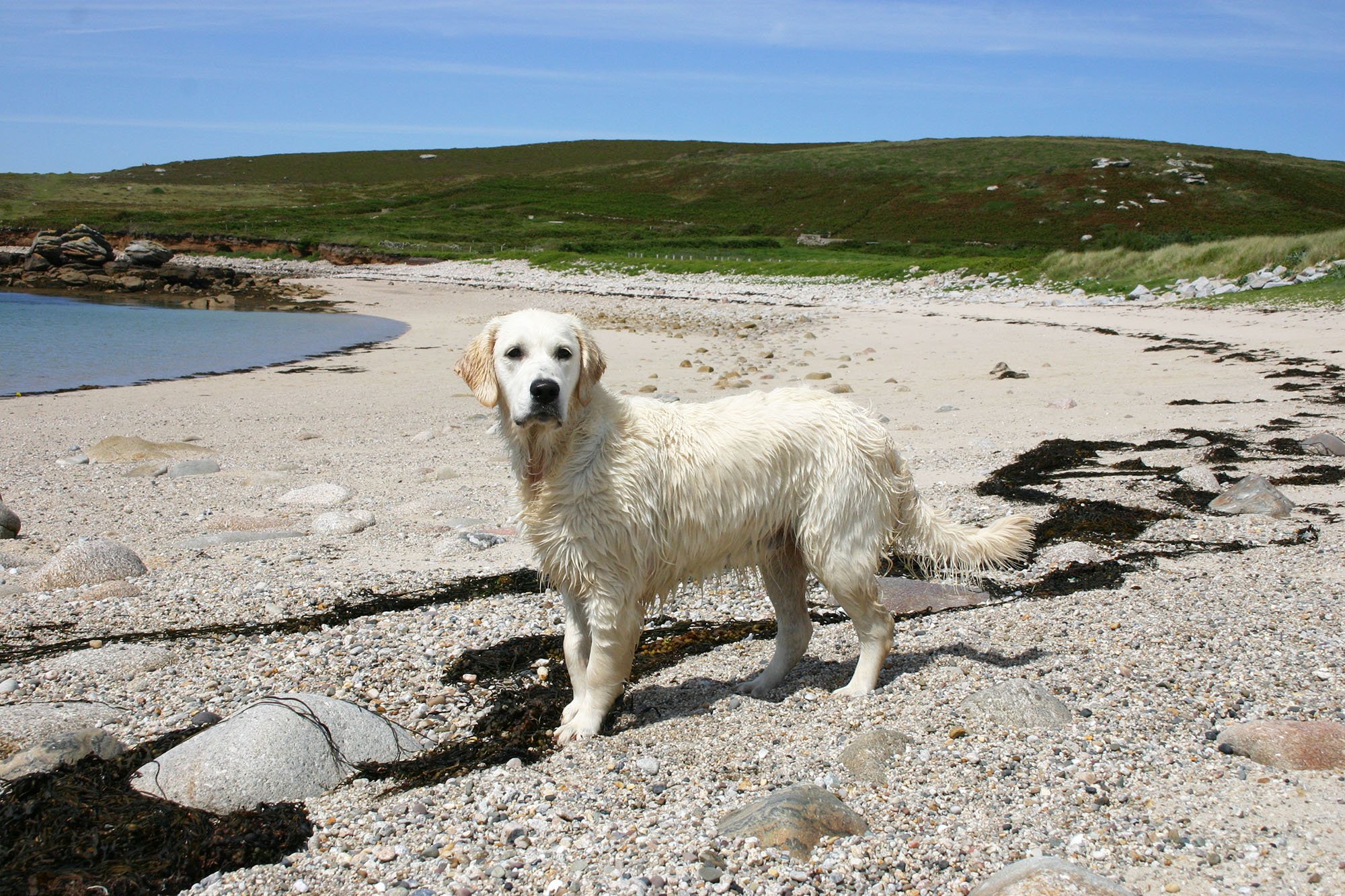 WEB Scilly's 2007 010 copy.jpg