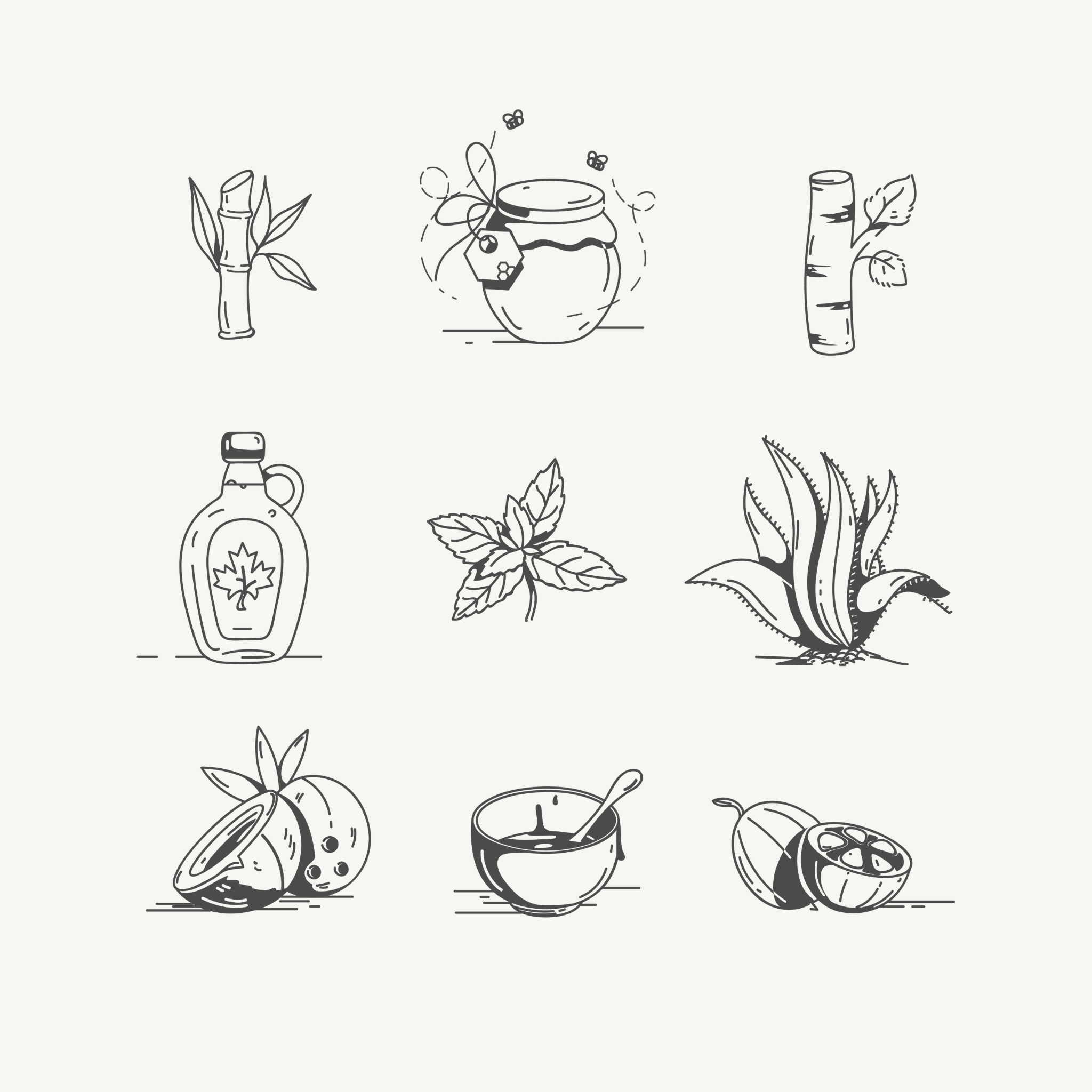 Line art illustrations of natural ingredients including bamboo, honey jar, birch, maple syrup, mint leaves, aloe vera plant, coconut, bowl with spoon, and a fruit slice with seeds.