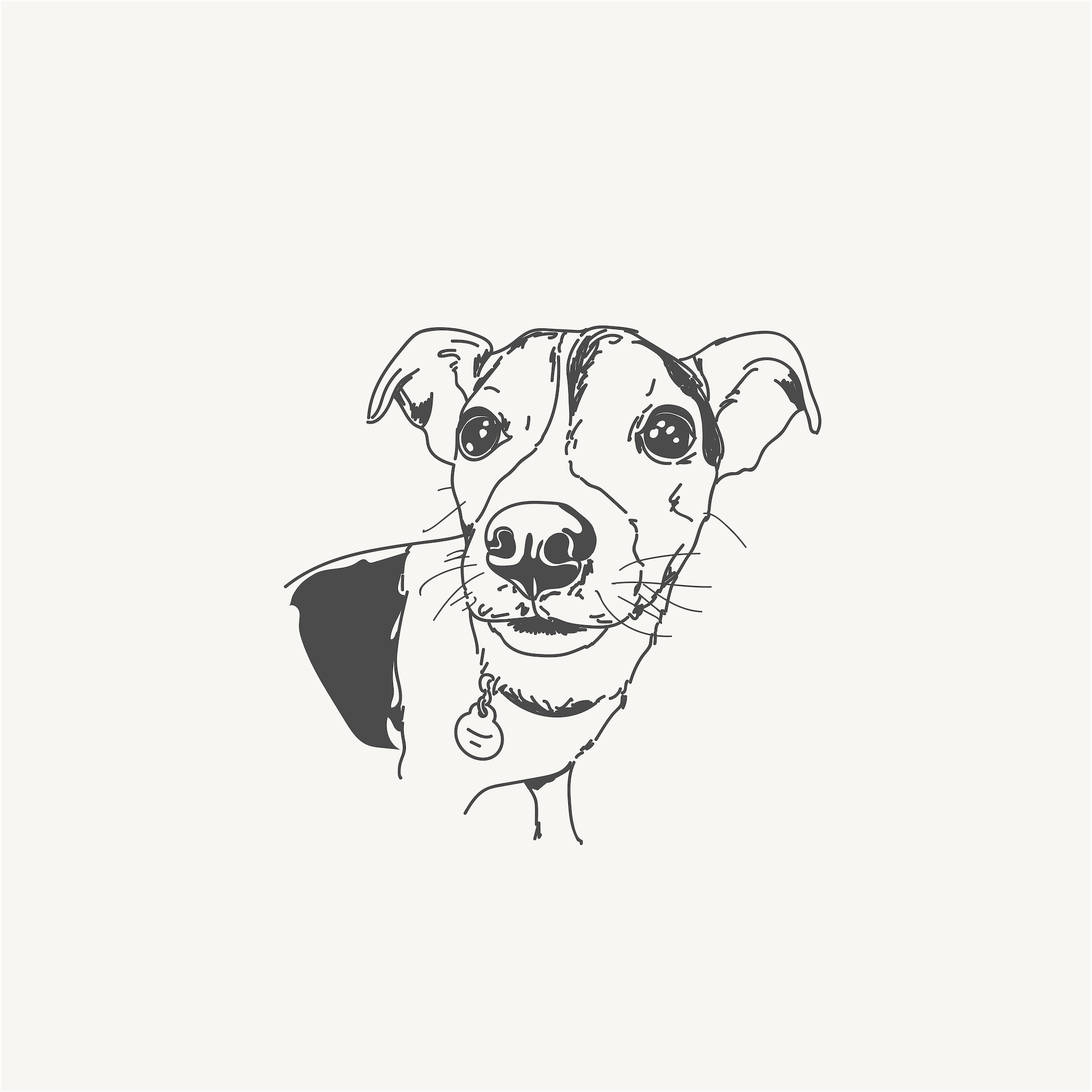 Line drawing of a dog with a collar and tag, looking forward.