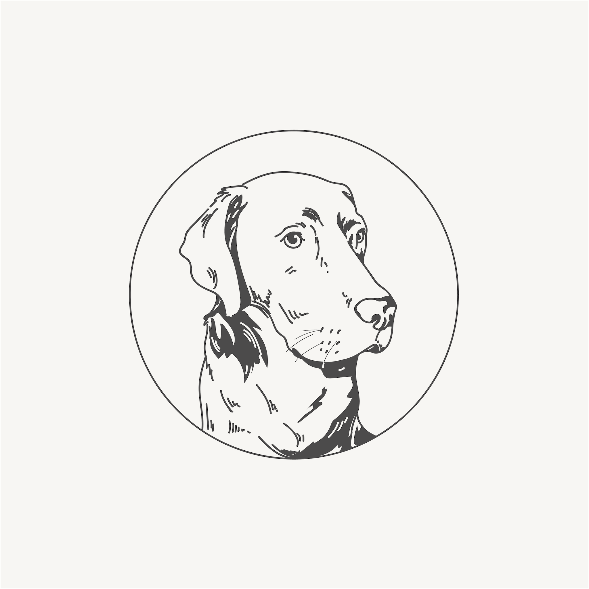 Illustrated portrait of a dog within a circle, minimalistic line art style.