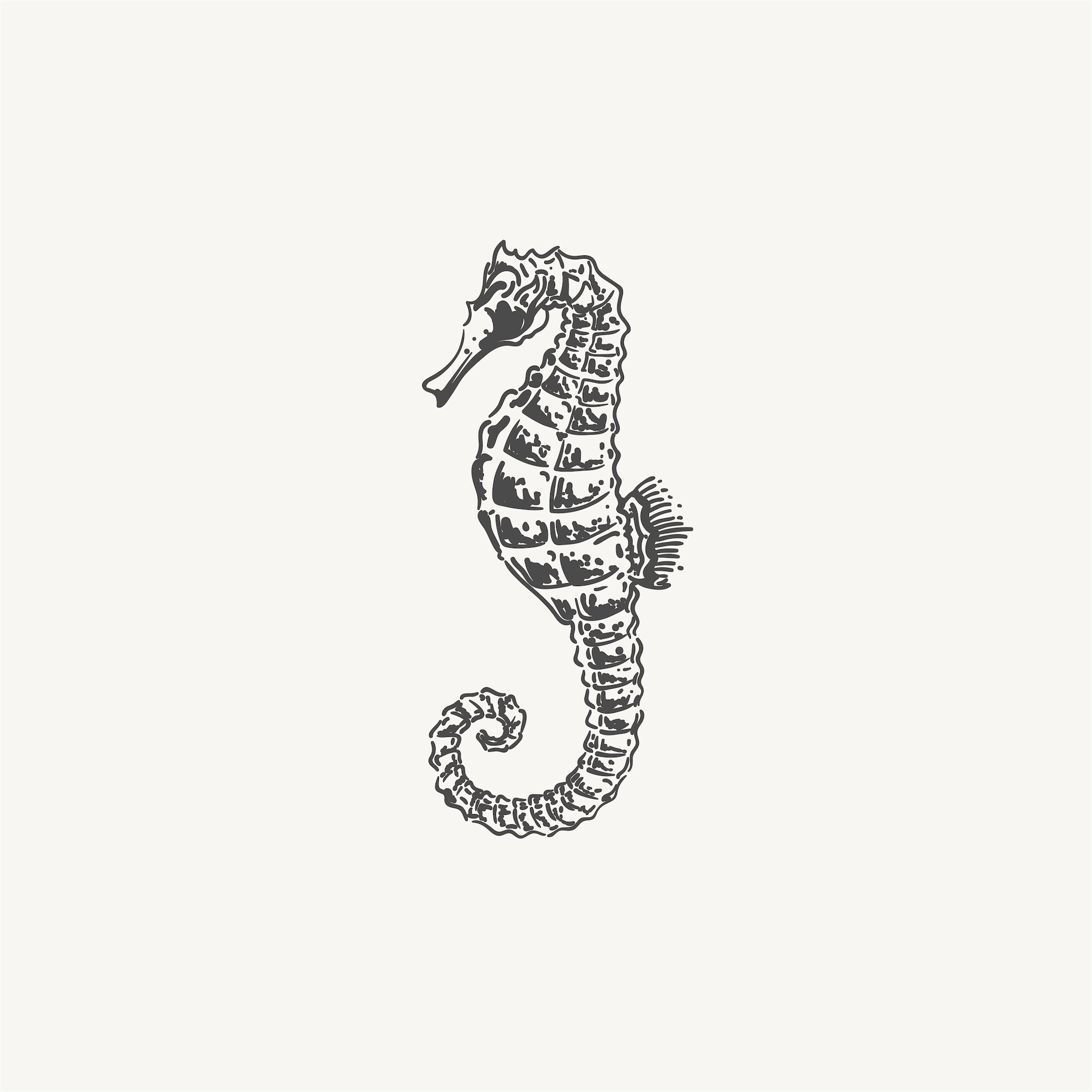 Vintage illustration of a seahorse on a plain background