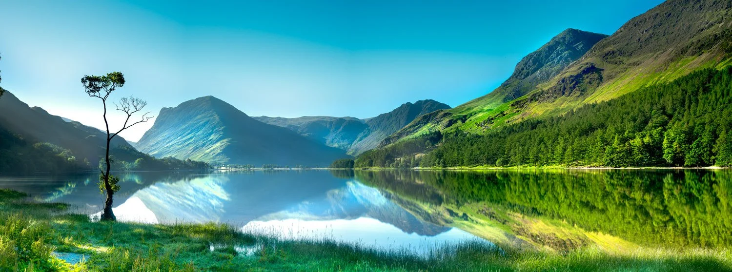 962-Lone-Tree-At-Dawn-Buttermere.jpg