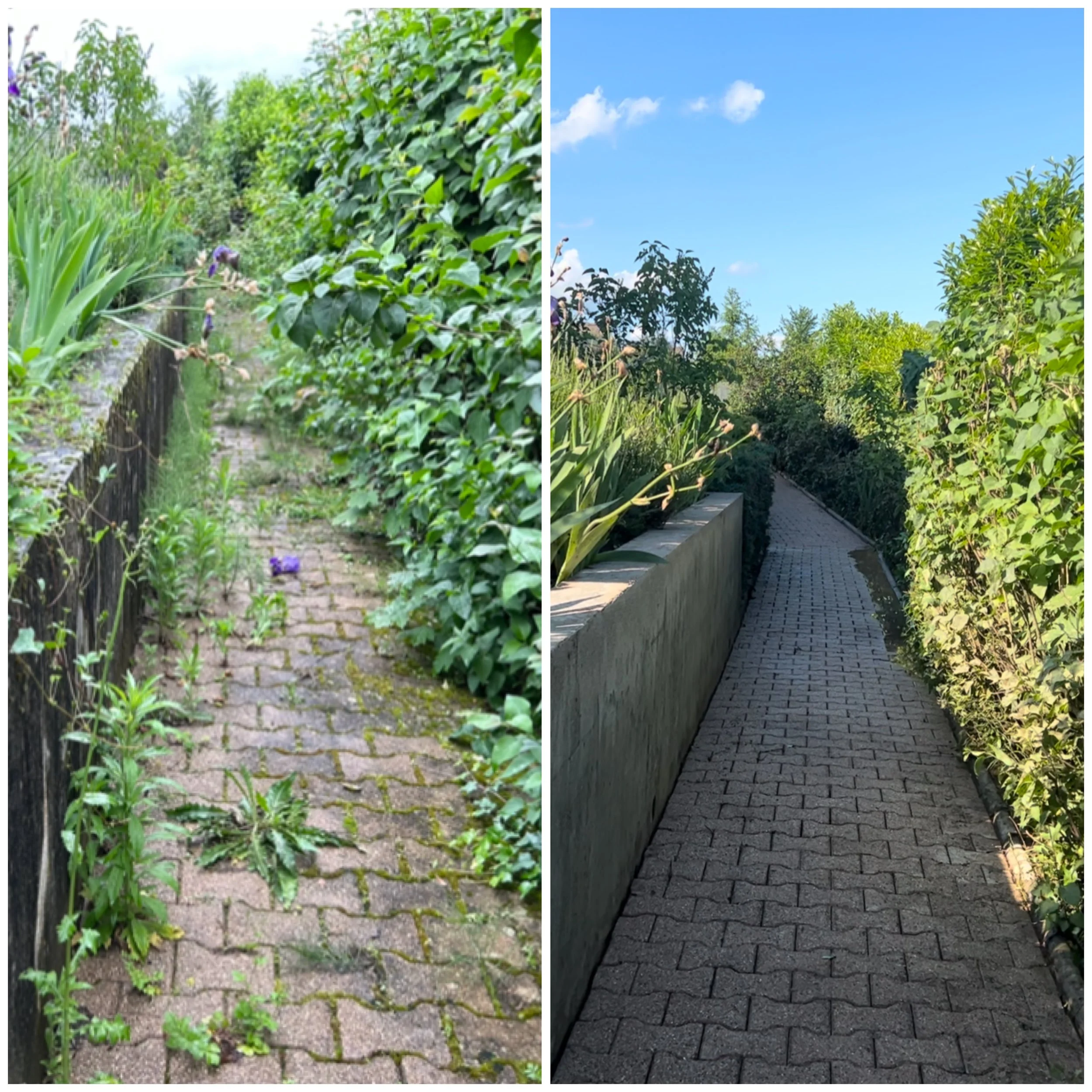 Nettoyage de printemps