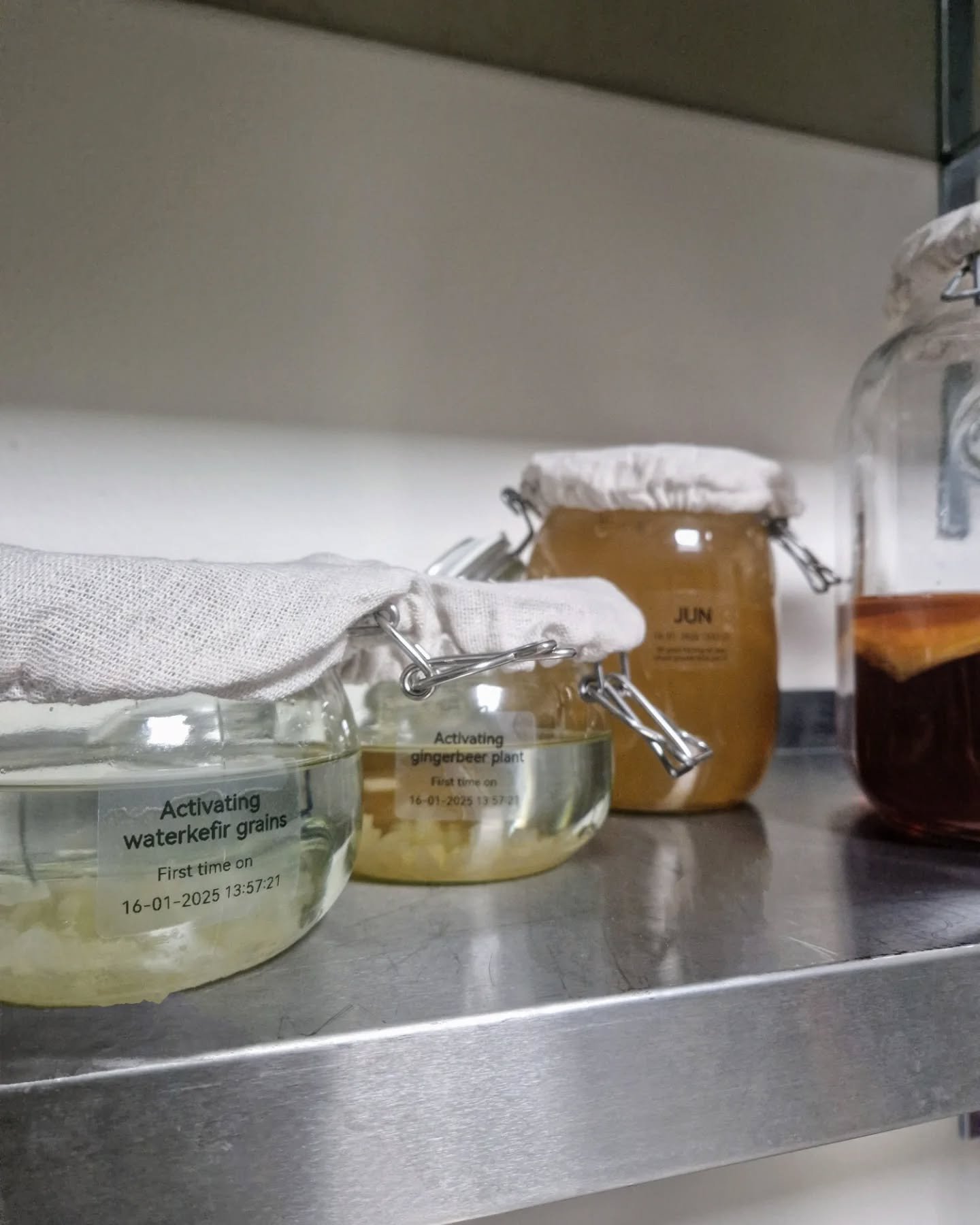 Fresh new batches will become amazing prebiotic drinks soon! 🍸 Want to learn everything about fermented drinks? Find all the courses &gt; link in bio