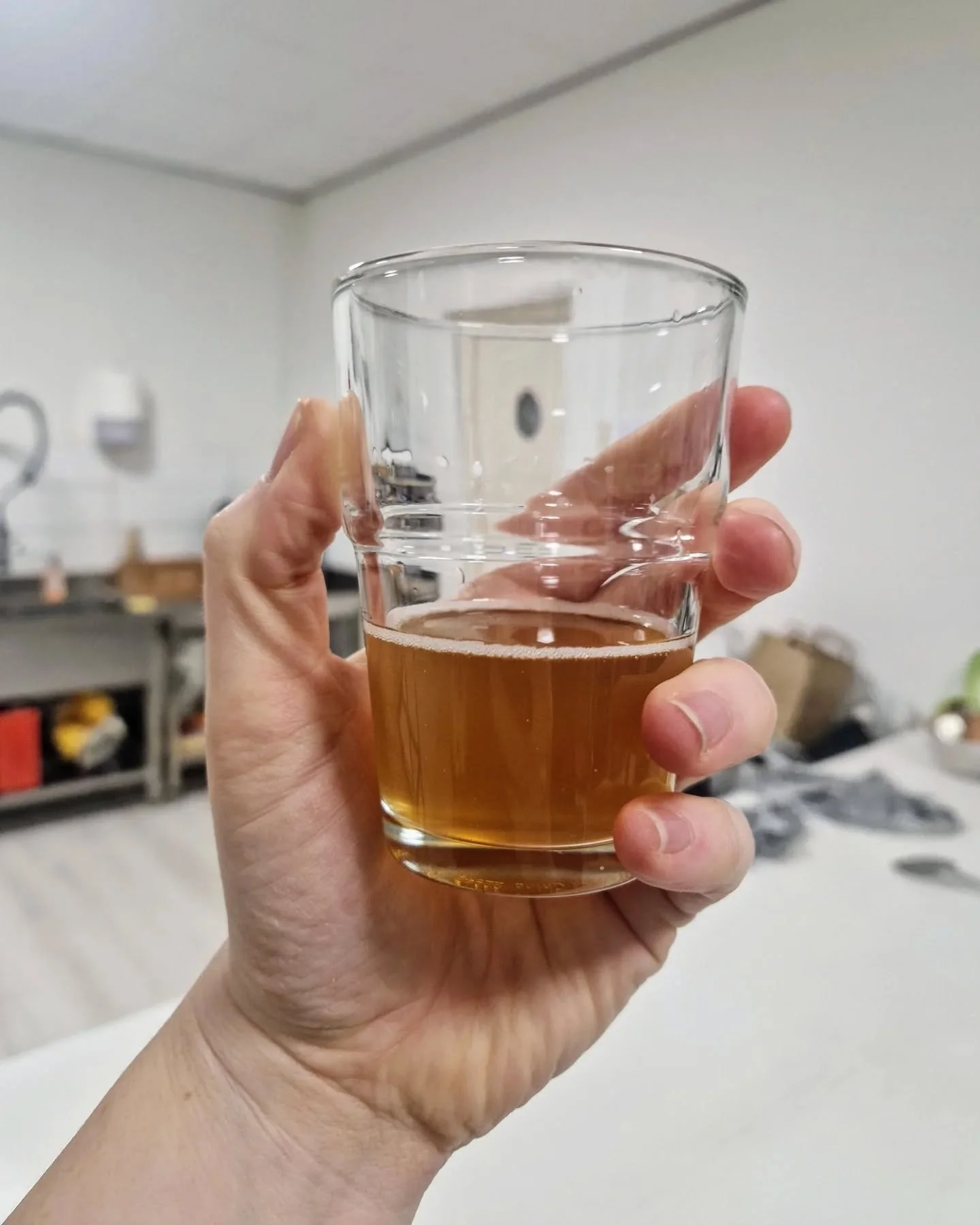 Eerste kombucha van 2025! Lekker fris 🍸
Flink wat testen doen en kijken of we het deze lente/ zomer bij @deproef_org kunnen schenken!