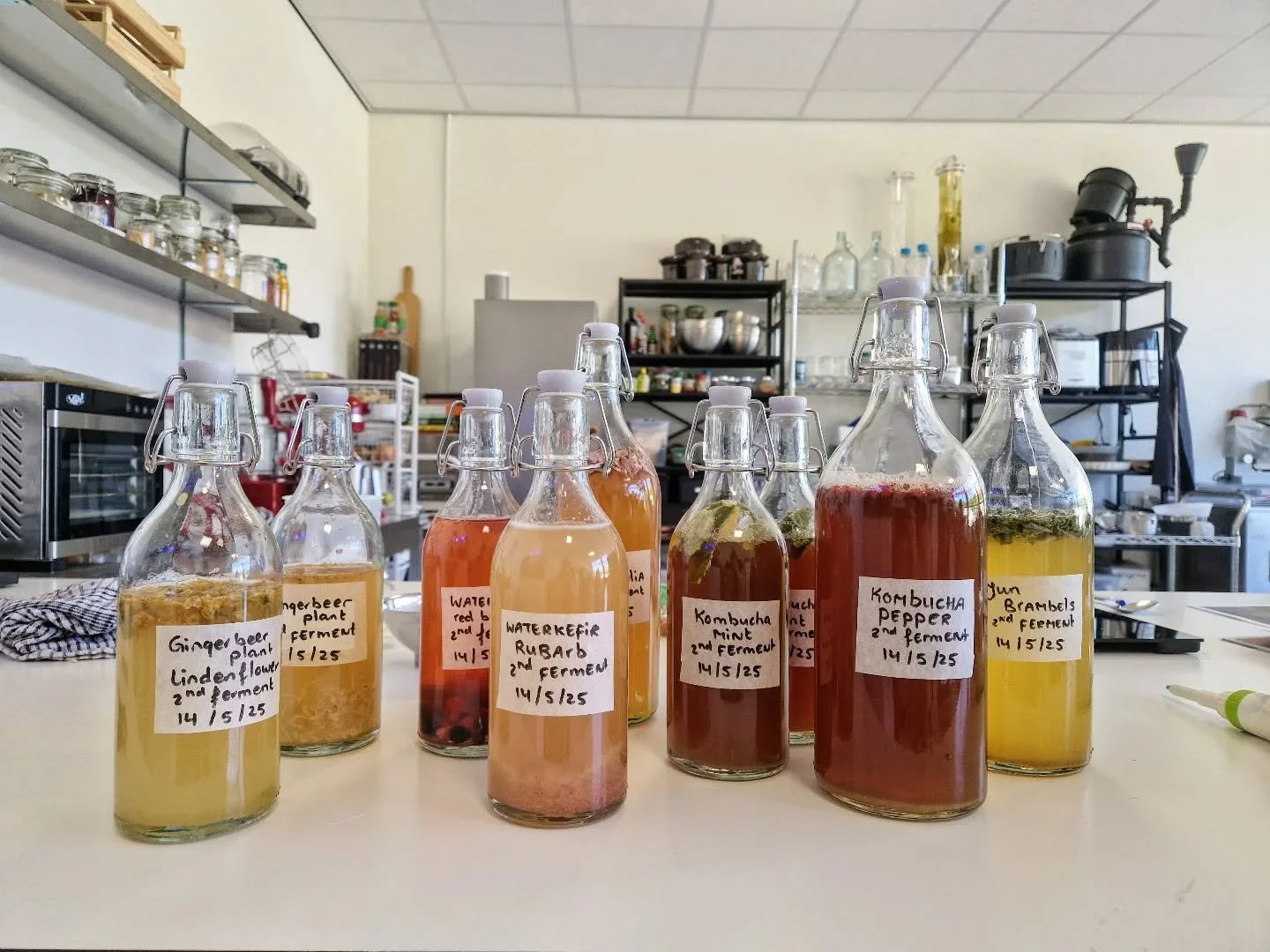 All kinds of fermented goods🍸