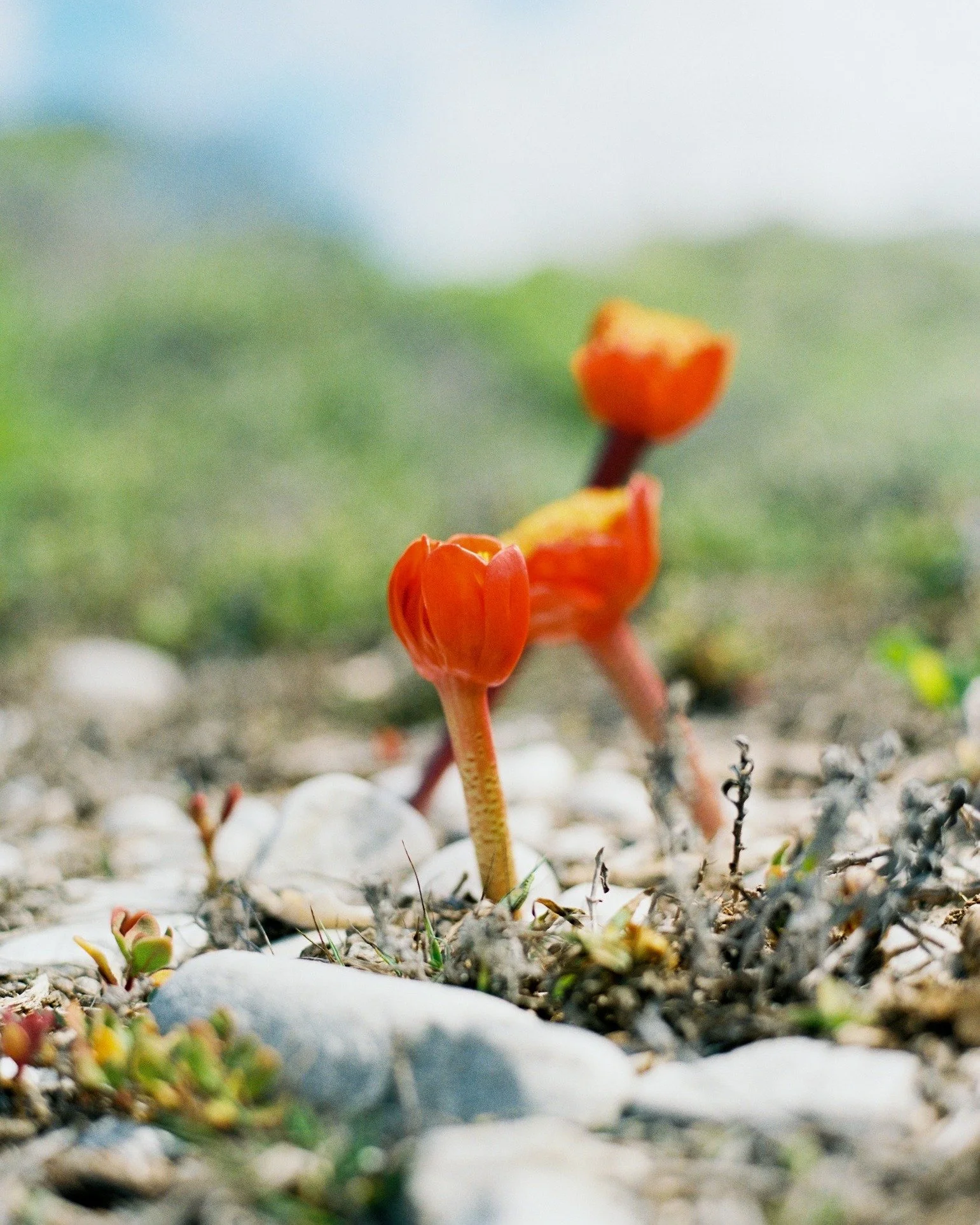 Staying in one of our Boutique Self Catering Holiday Villas close to the Southernmost Tip of Africa is an experience you will never forget.

Here, luxury isn&rsquo;t just about where you stay &mdash; it&rsquo;s about how it makes you feel. Whether yo