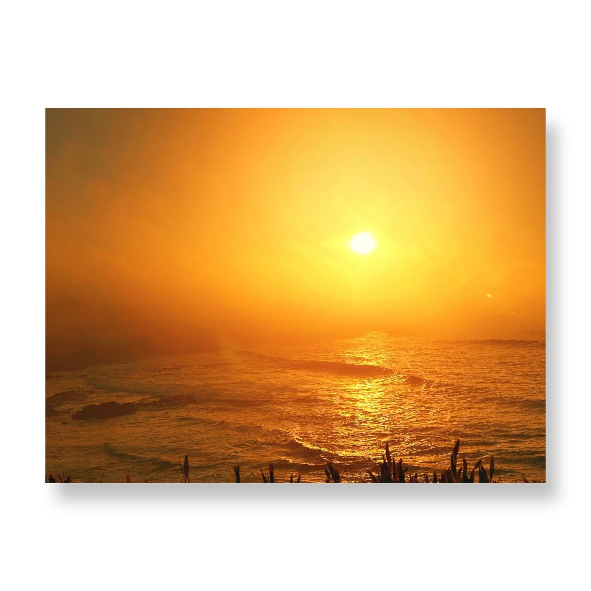 At the Southernmost Tip of Africa, mornings begin with barefoot walks on Struisbaai&rsquo;s endless white beach. Afternoons drift between harbour lunches, tidal pools, fynbos trails and quiet swims. Evenings arrive slowly, with braai smoke in the air