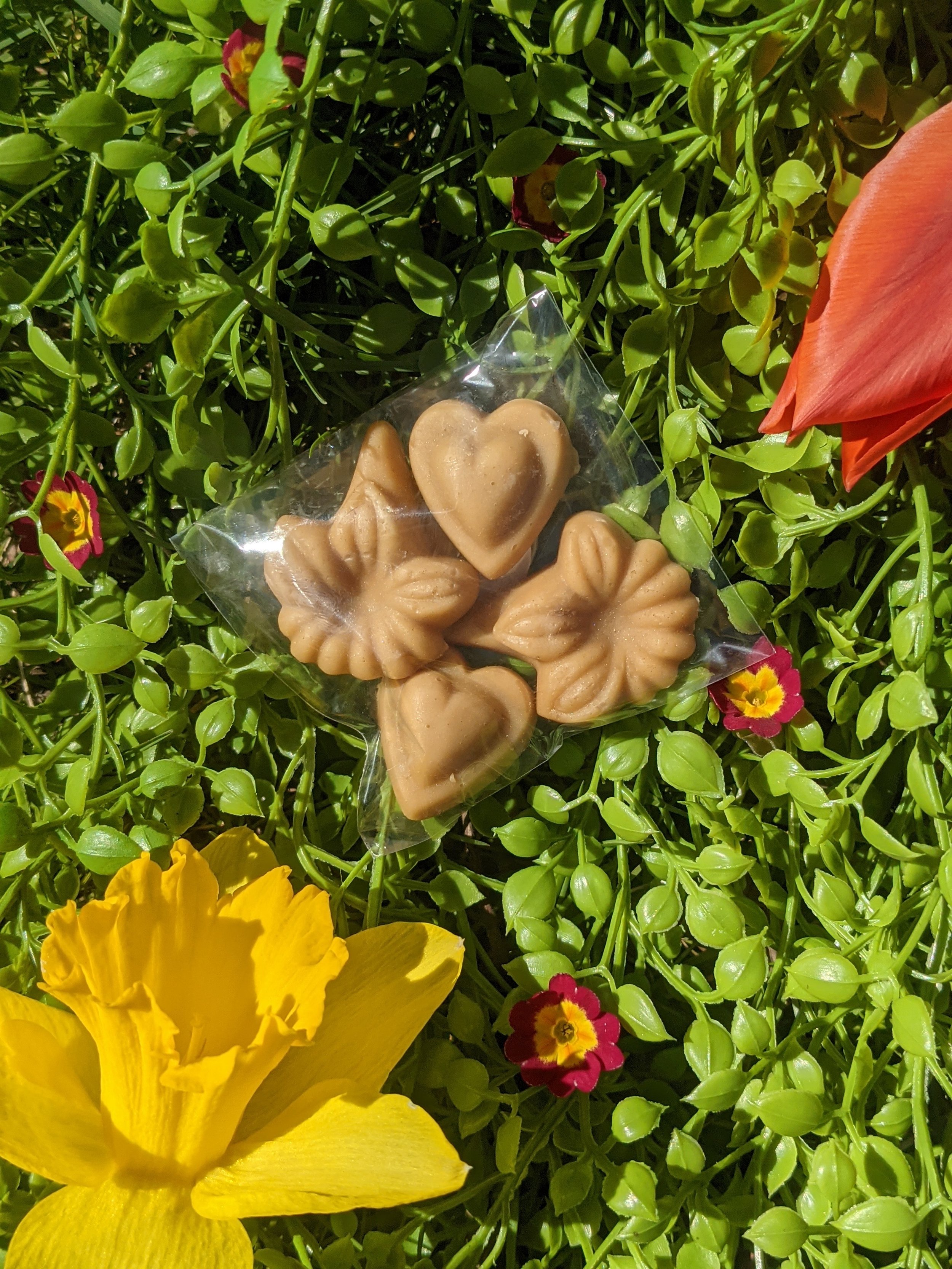 Seasonal Maple Sugar