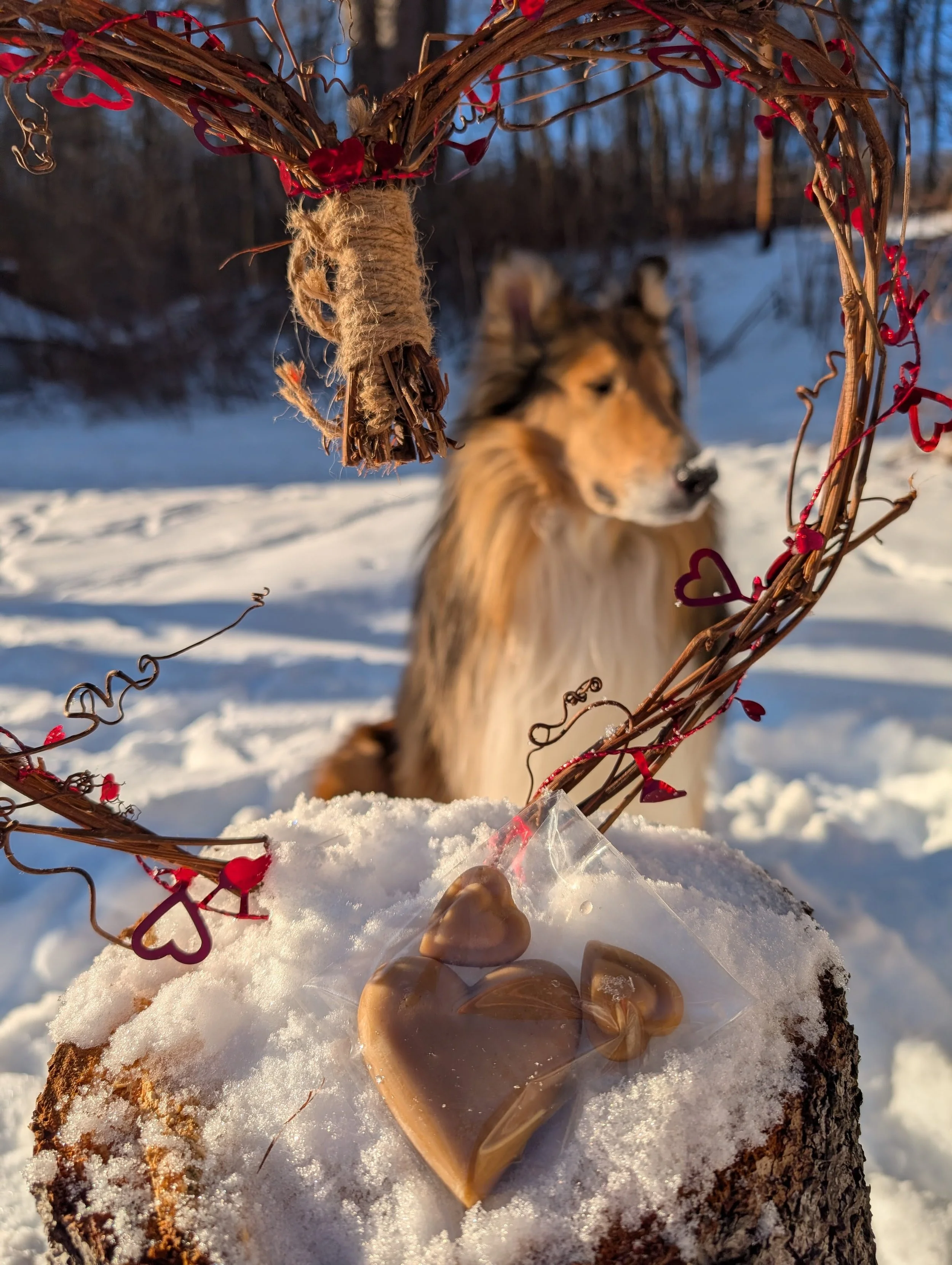 Valentine Maple Sugar