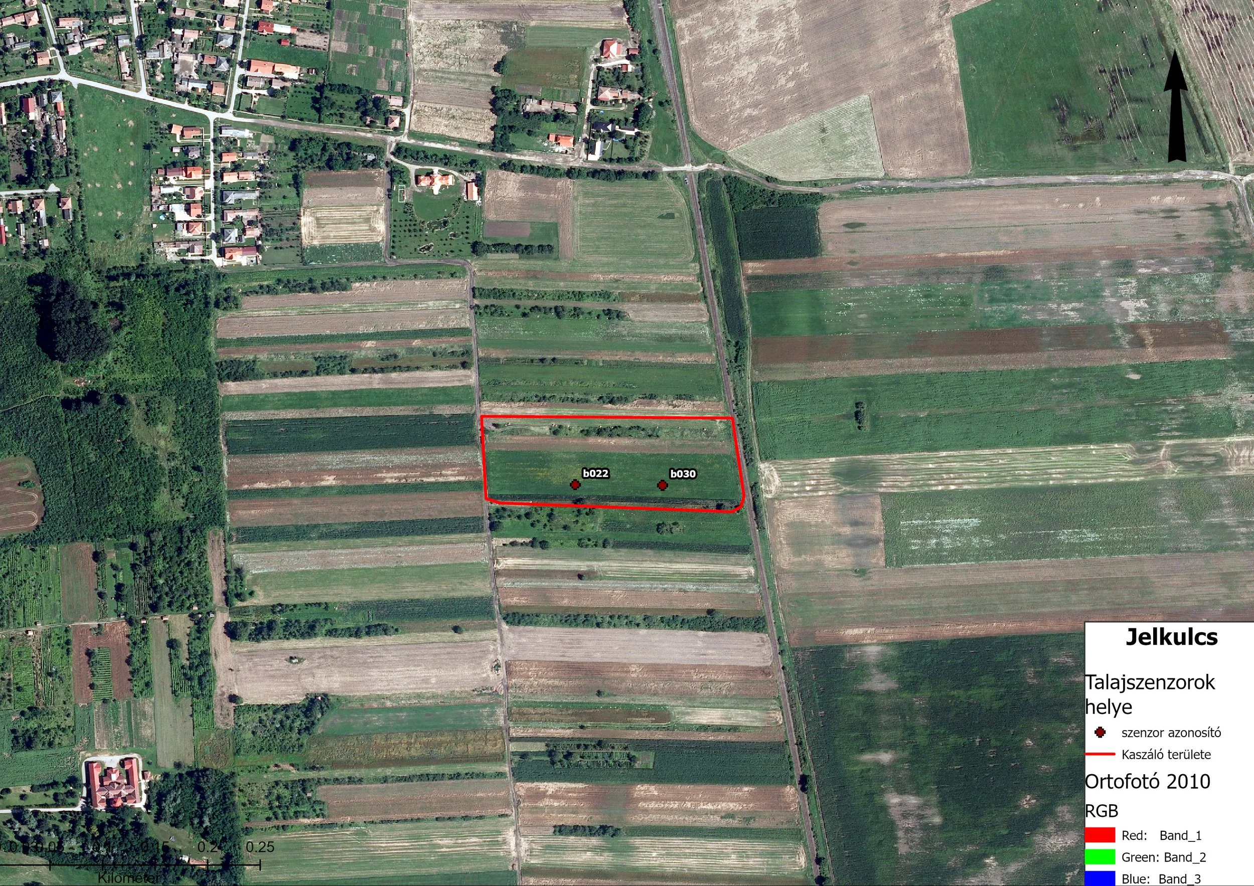 orto2010.jpg