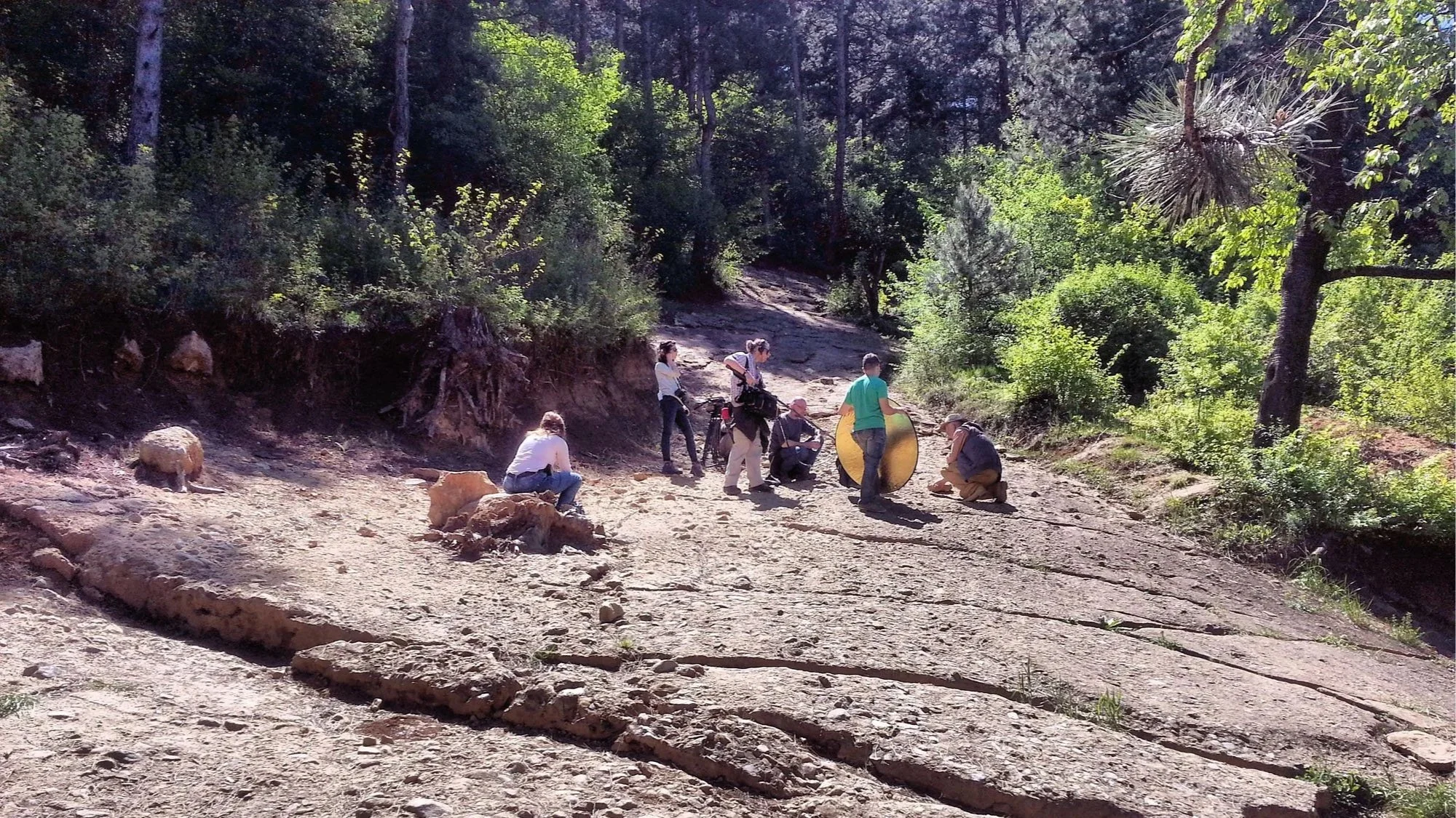 A group of people in a forest clearing preparing equipment, possibly for a photoshoot or filming, with dense trees and sunlight filtering through the leaves.