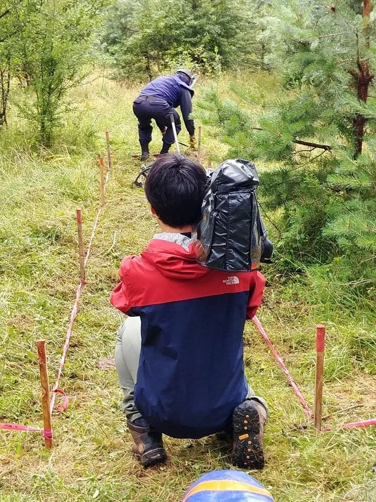 A person with a backpack crouching on a trail in a forest, lined with small stakes and pink tape, with two people further ahead working or walking along the trail.