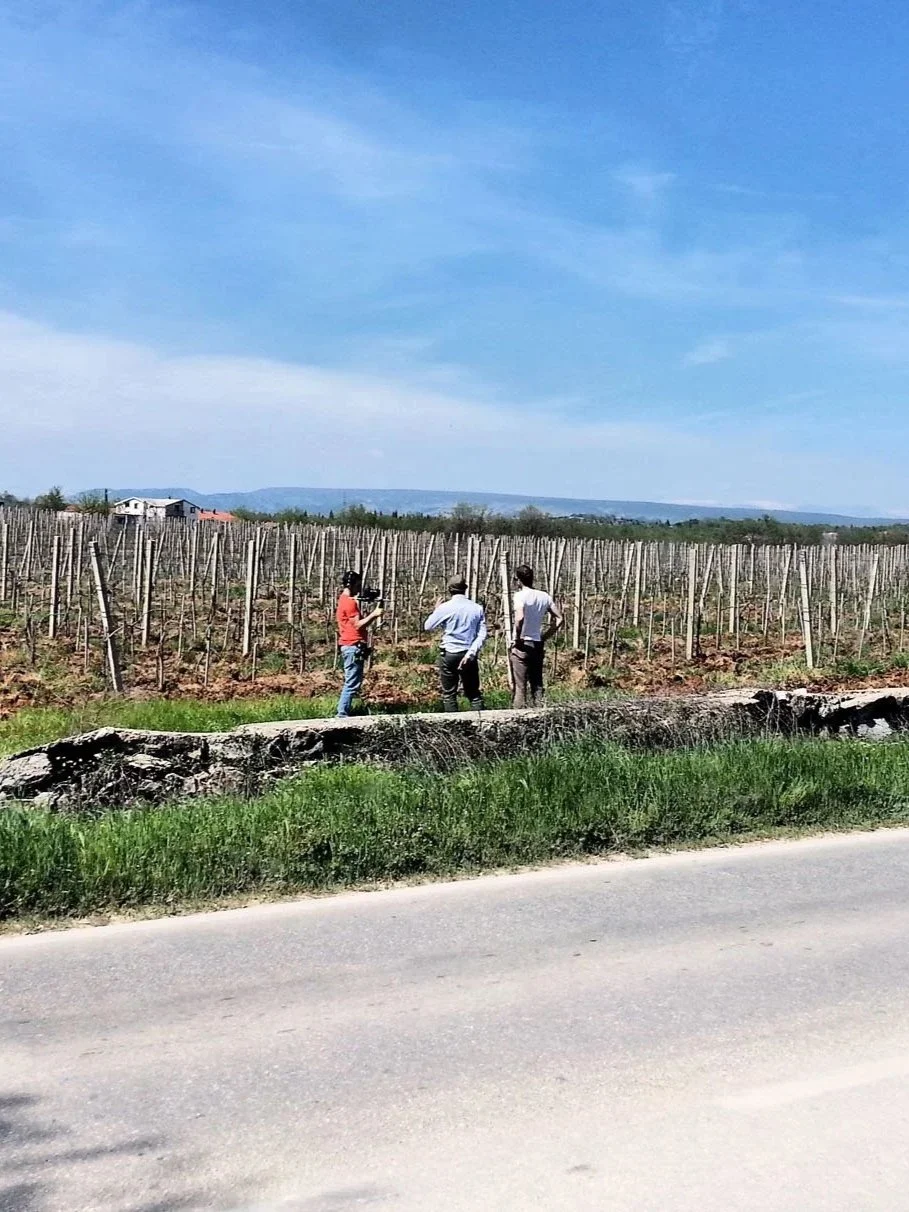 Three men are standing beside a vineyard, one holding a tablet, with a dirt path, green grass, and a clear, blue sky in the background.