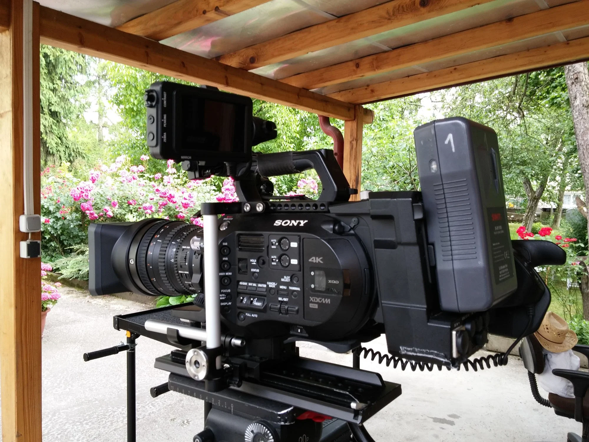 Professional video camera outdoors on a tripod, surrounded by greenery and blooming flowers under a wooden structure.
