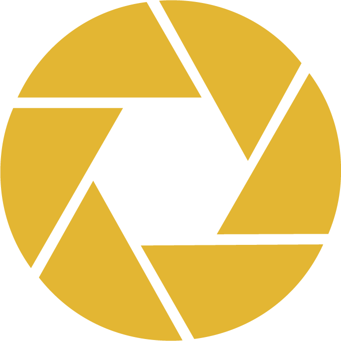 ViEdo logo with gold shutter lens icon, representing professional location services and video production services in Croatia and the region