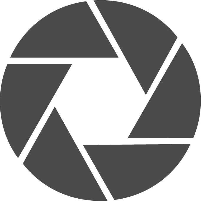 ViEdo premium package logo with grey shutter lens icon, representing advanced video production quality.