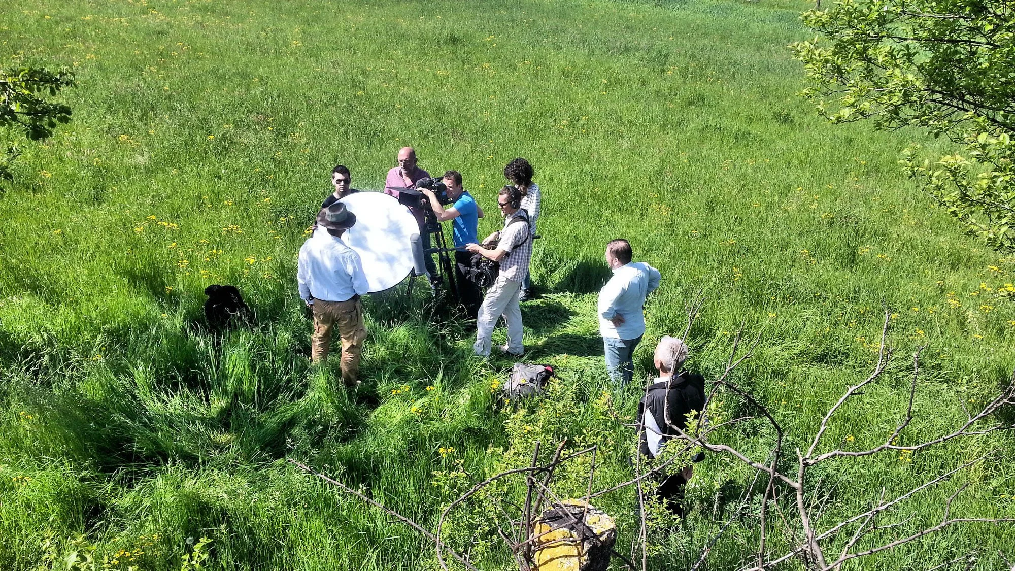A group of people with filming equipment in a grassy field on a sunny day.