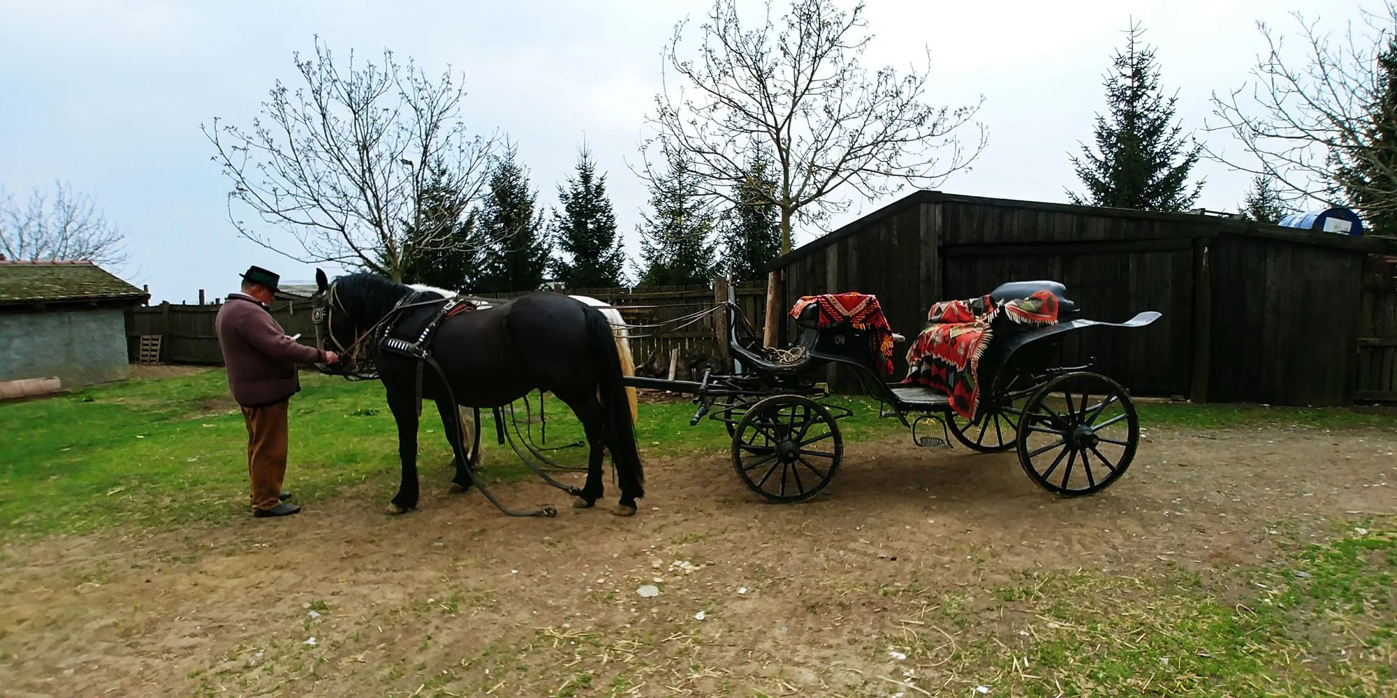A man in a brown coat and hat standing next to a black horse that is harnessed to a vintage carriage, with blankets on the carriage seats. The scene takes place outdoors in a yard with grass, dirt, a wooden fence, trees without leaves, and a small bu