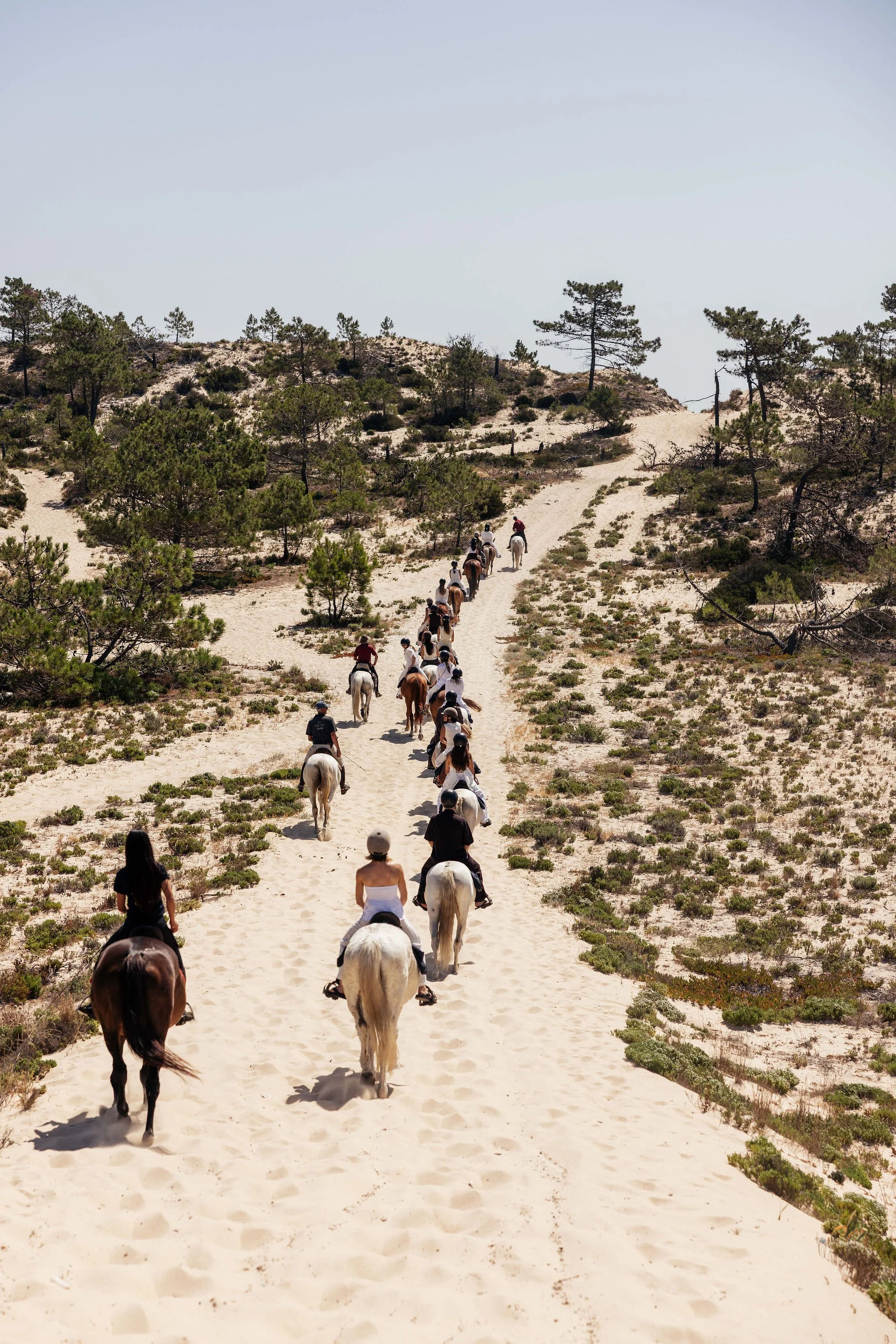 Cavalos-70.jpg