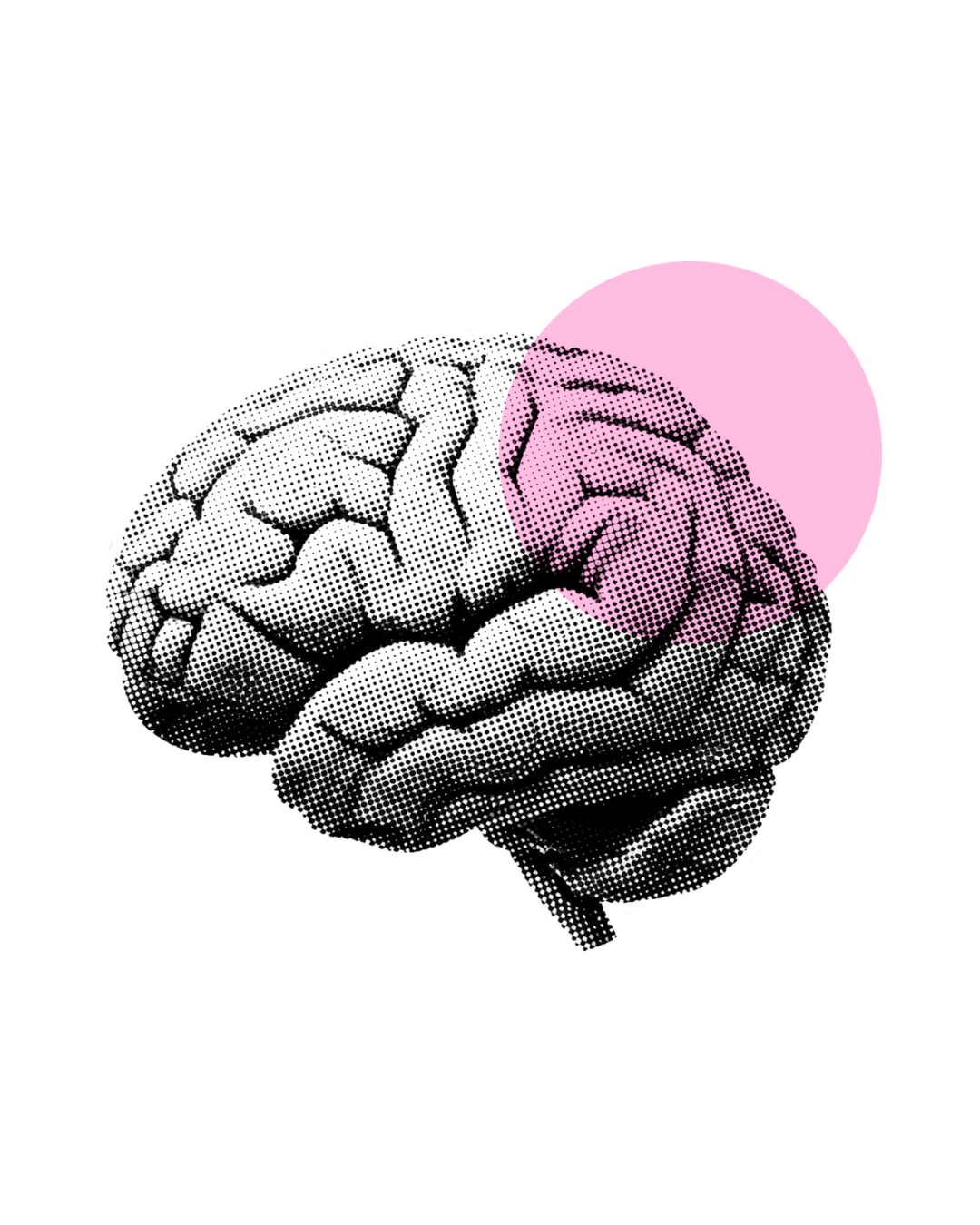 Cartoon image of a happy, muscular brain with a smiling face, flexing its arms against an orange background.