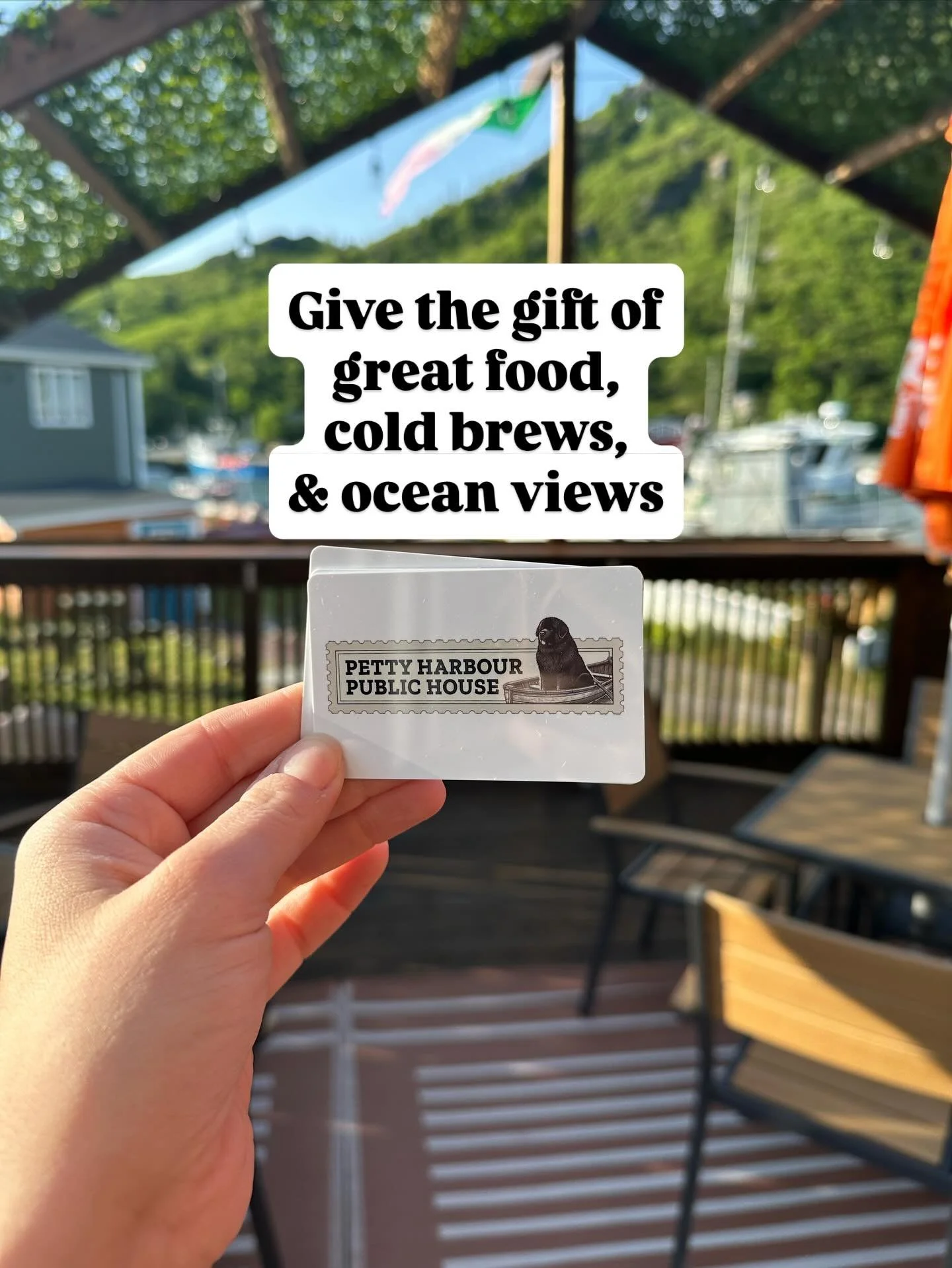 We have gift cards available in all denominations! Give the gift of great food, cold brews, &amp; ocean views! #pettyharbour #pettyharbourpublichouse