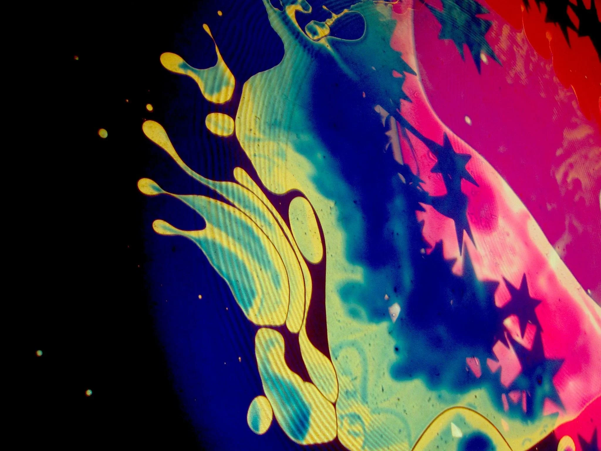 Jason Steidman - Lightsweetcrude