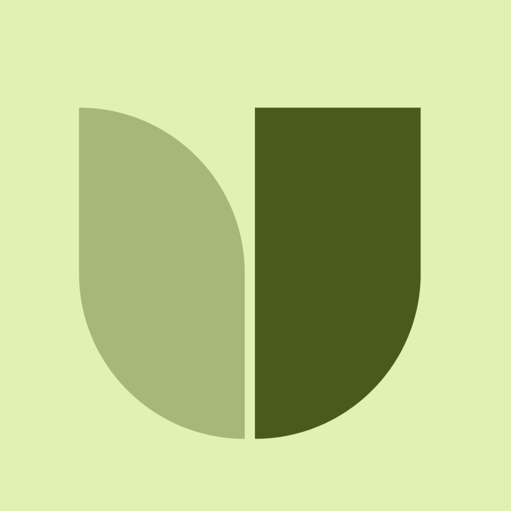 Minimalist abstract design with two semi-circles, one light green and one dark green, on a light green background.
