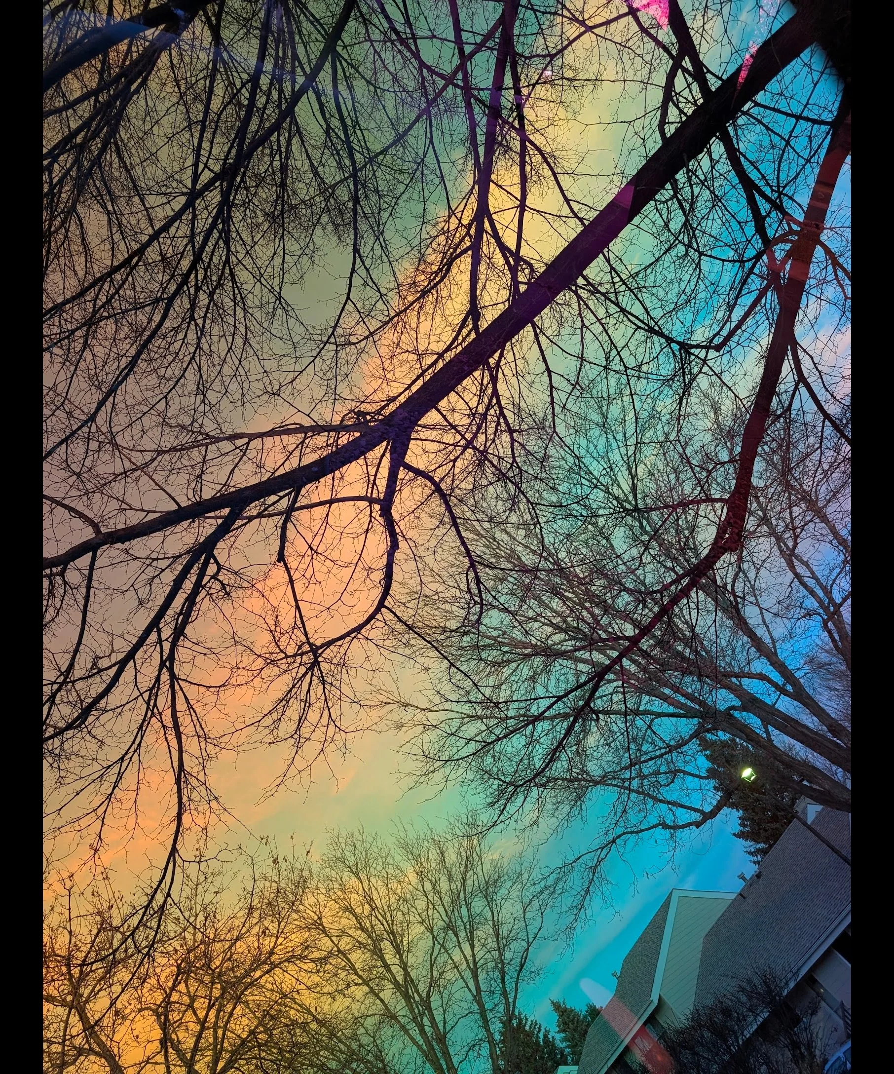 New Artists Coming Soon