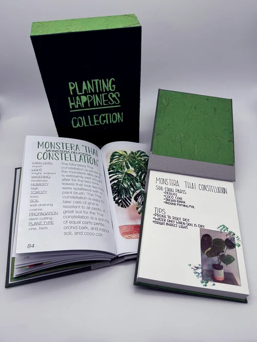 Planting Happiness: Concept  Maddie Powell Designs