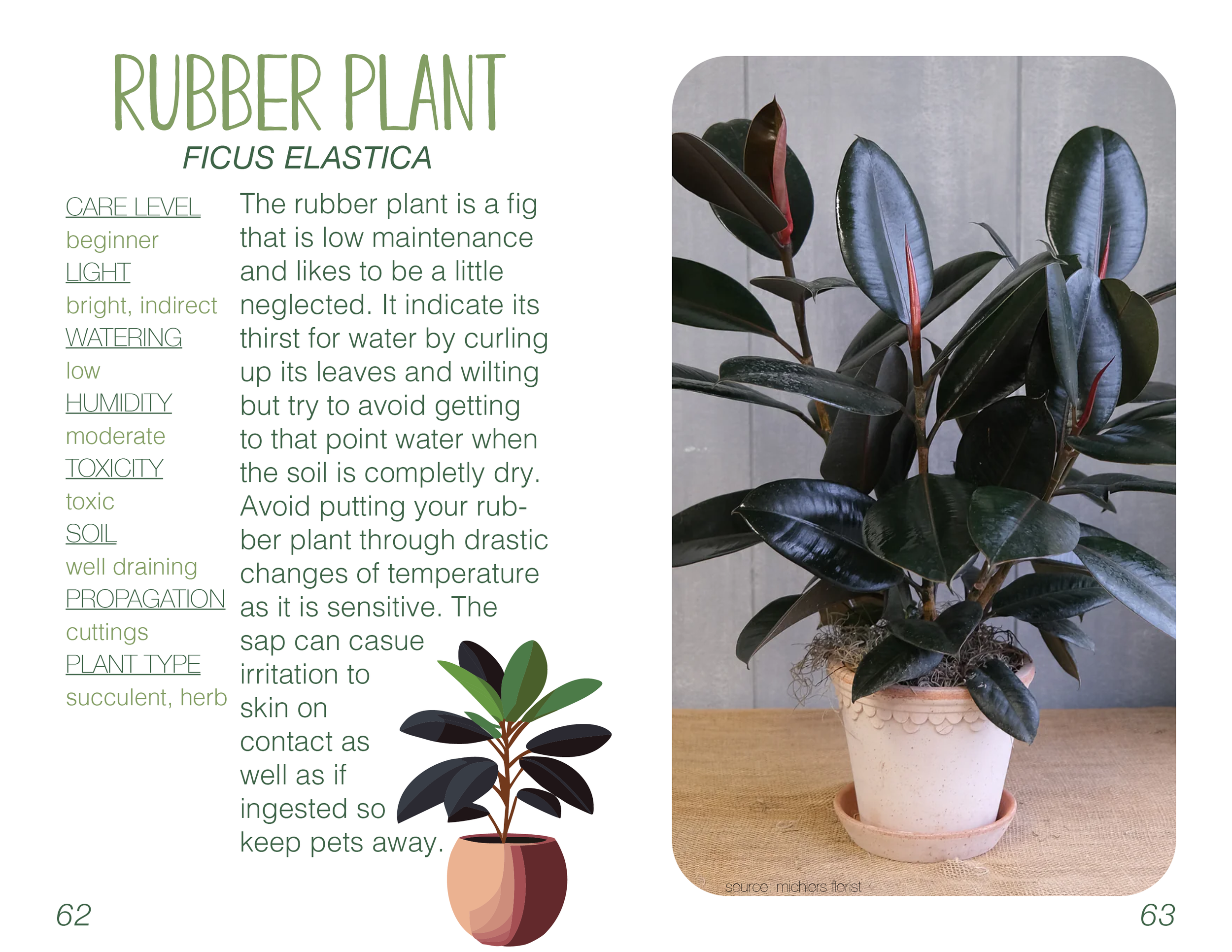 Plant book Original32.png