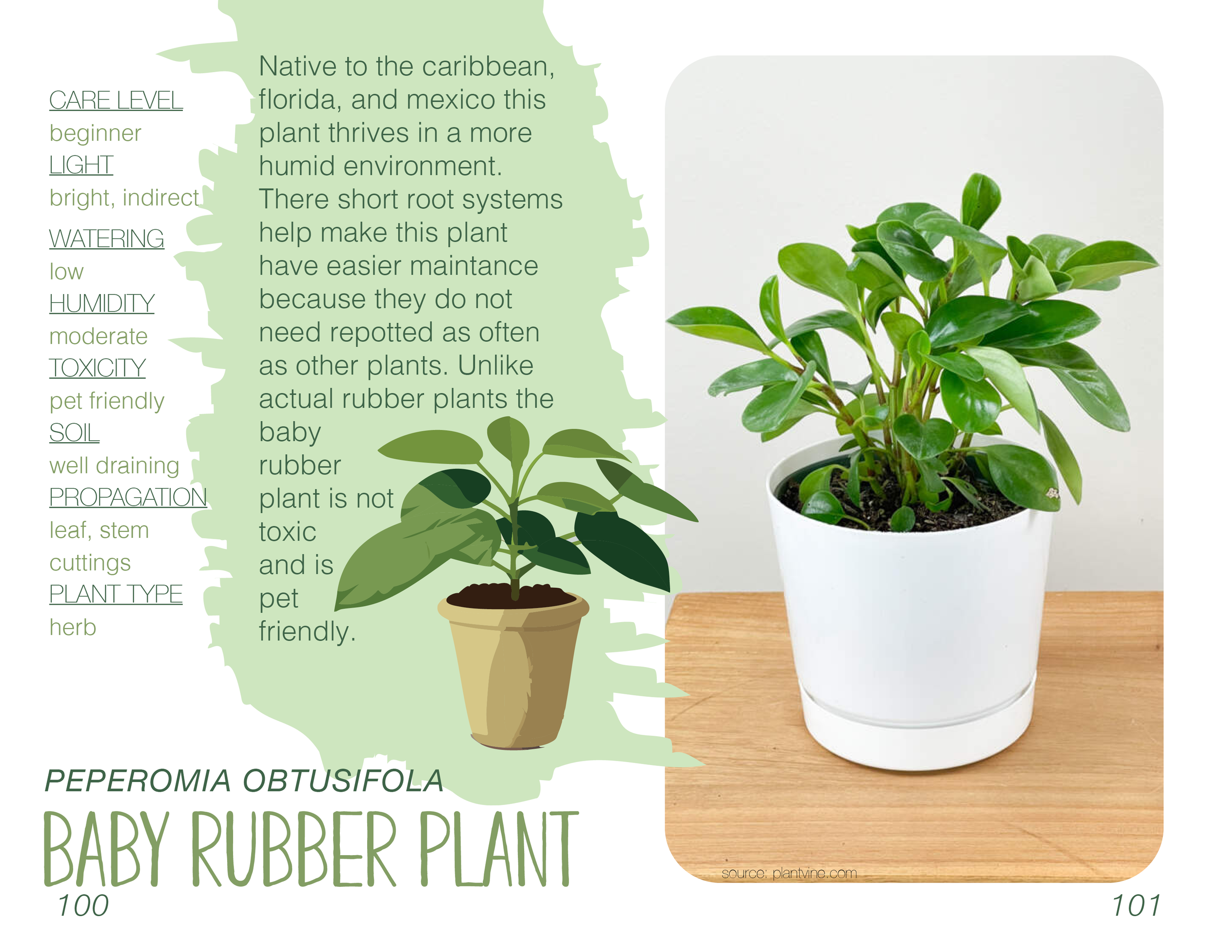 Plant book Original51.png