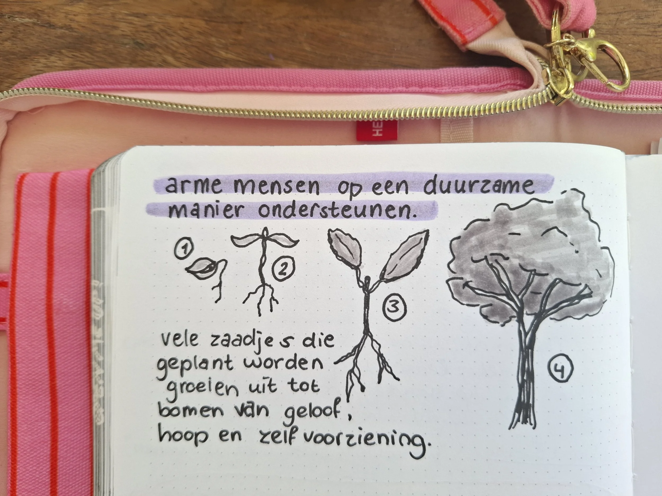 zaaien en groeien