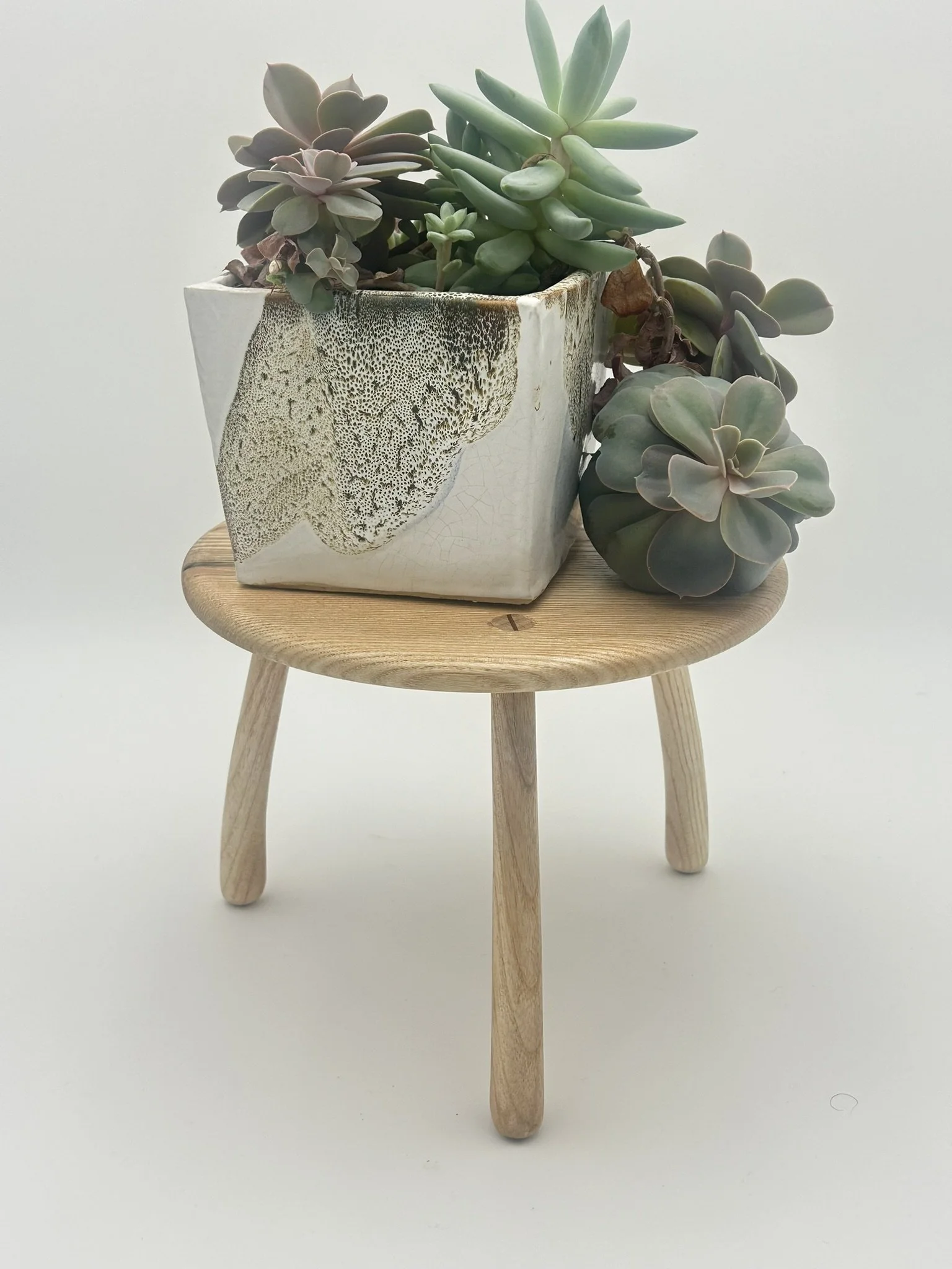 A2 ash IMG_2907.JPEG