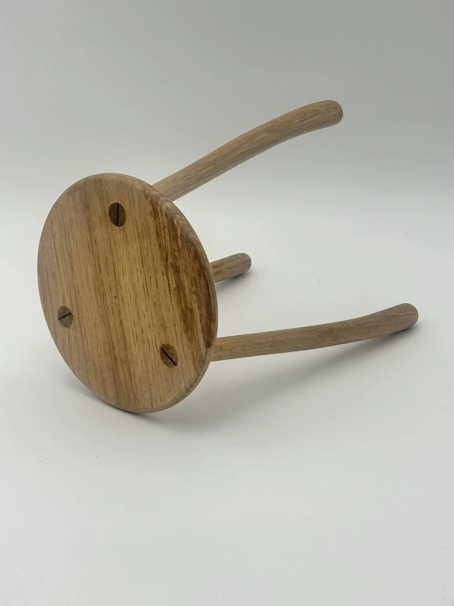 C1 oak IMG_2870.JPEG