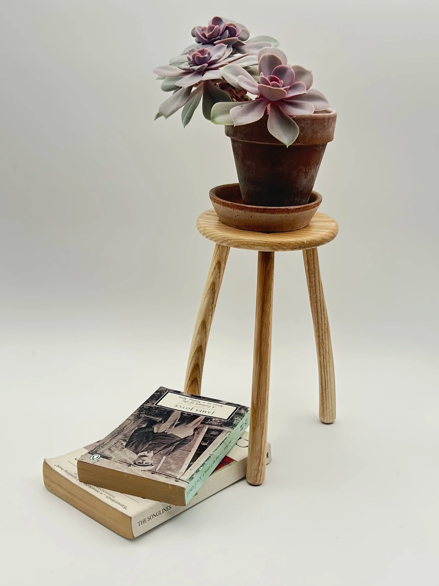 Small Plant Stand - Size C1