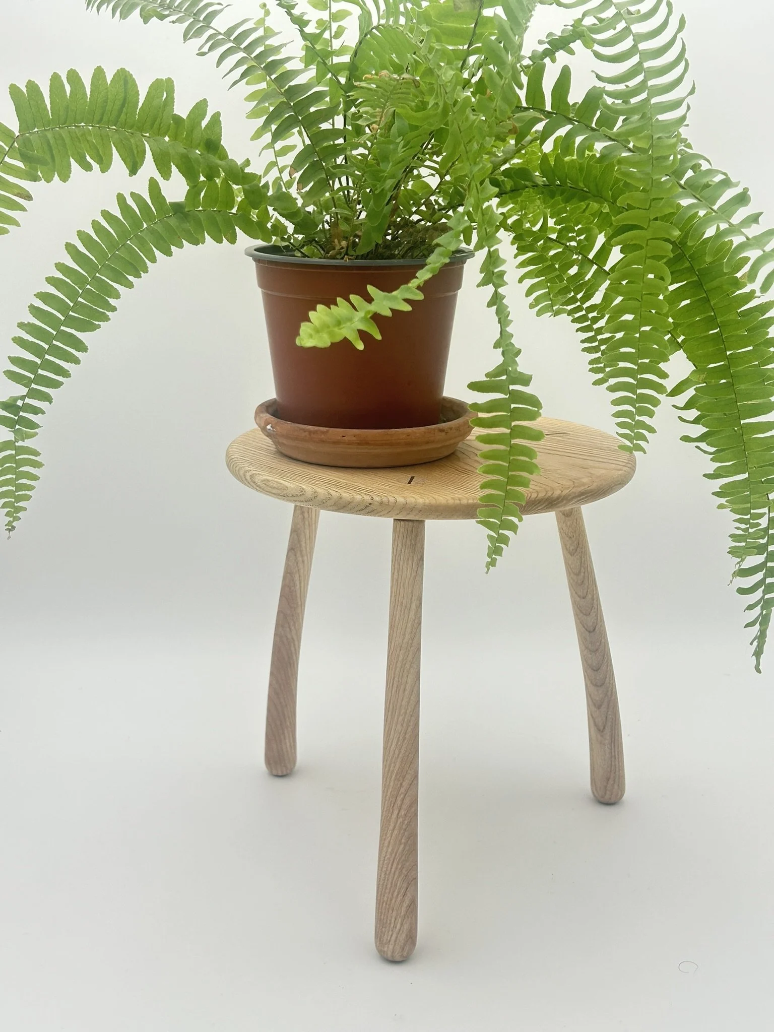 A1 ash IMG_2916.JPEG