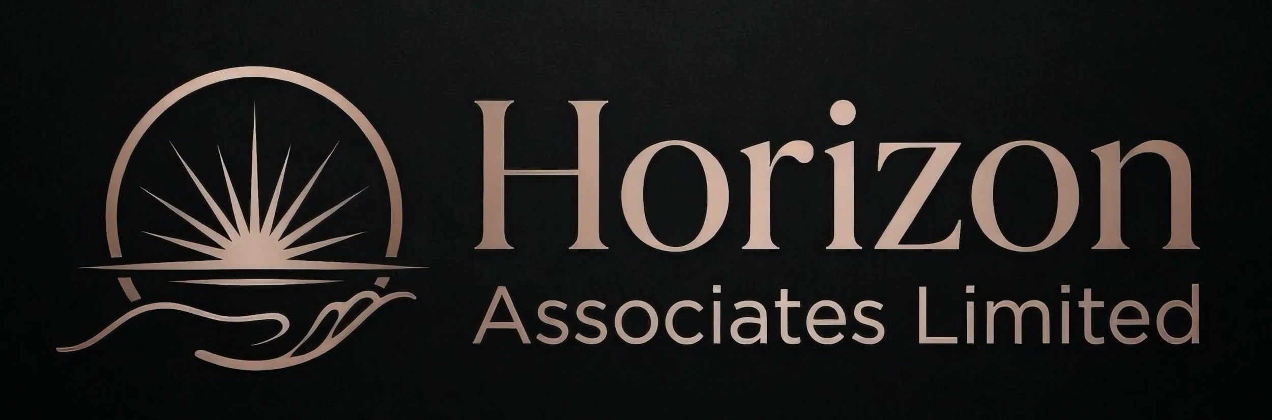 Horizon Associates Limited