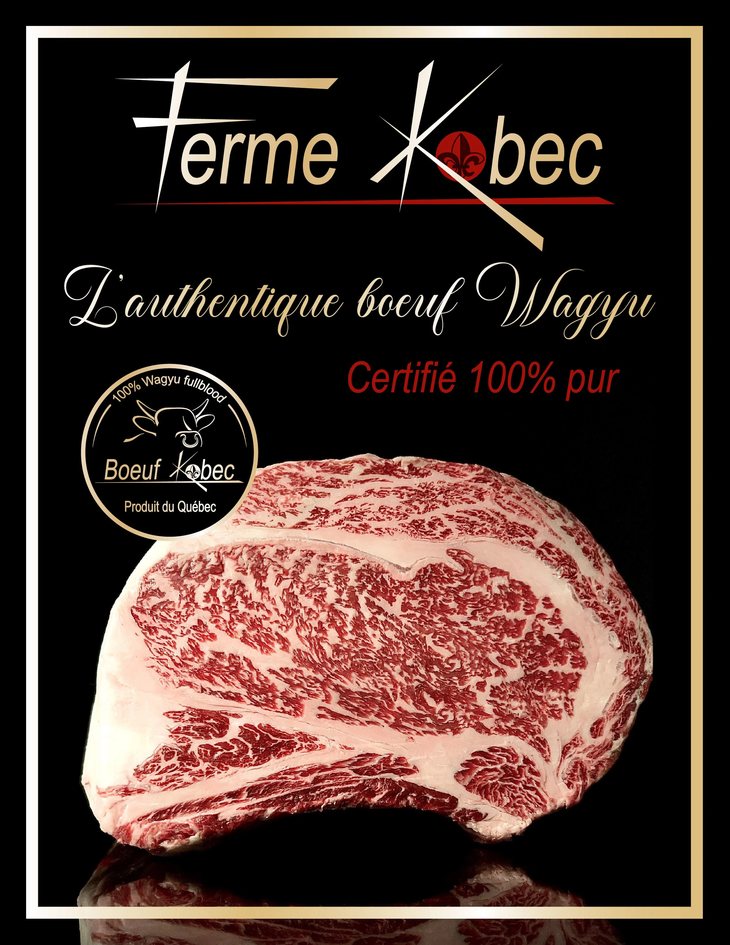 Catalogue de produits page couverture boeuf Kobec
