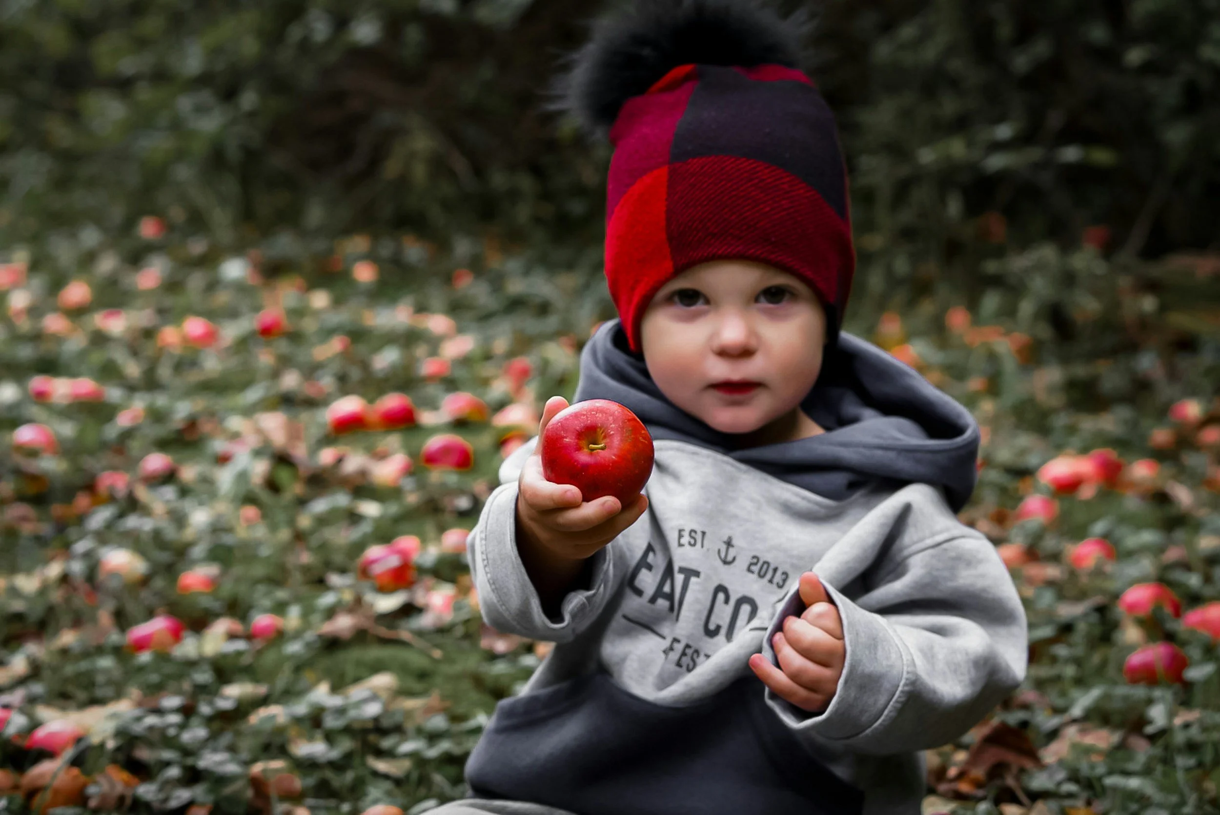 Fall Adventures for Kids in New England: A Family Guide