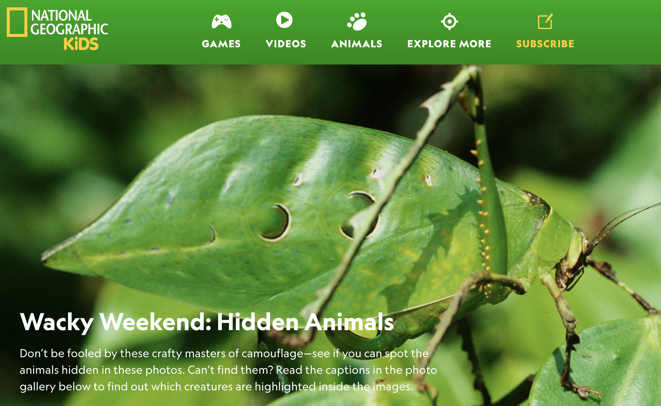 Text Set Links, p.55-56 | Wacky Weekend: Hidden Animals